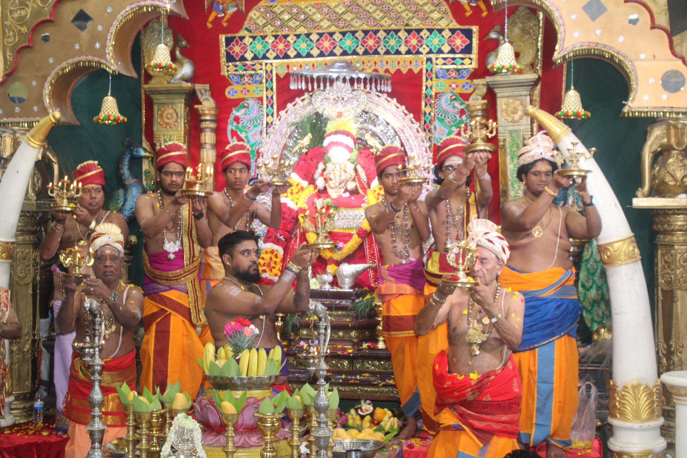Festival 2024 photo