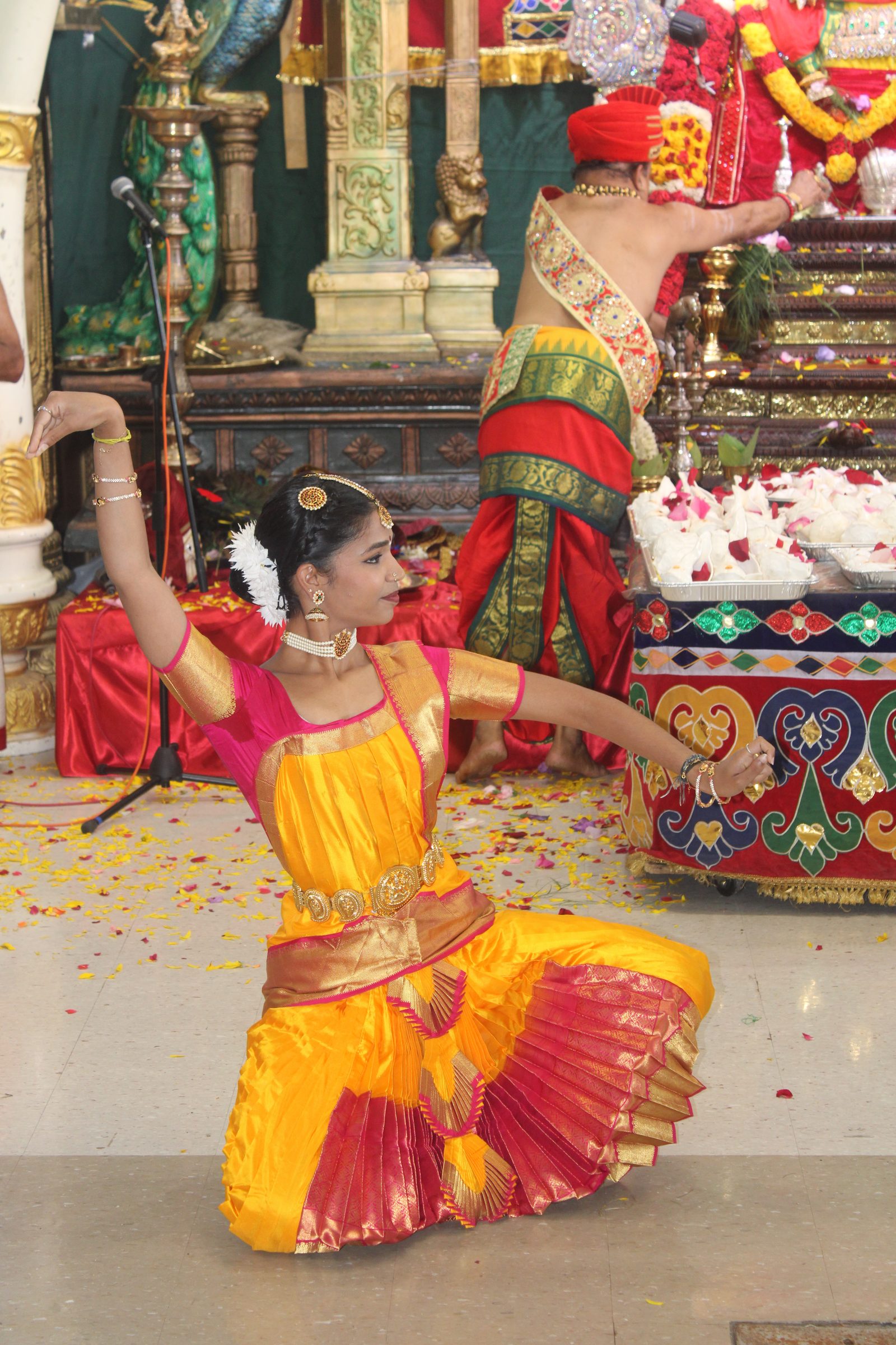 Festival 2024 photo