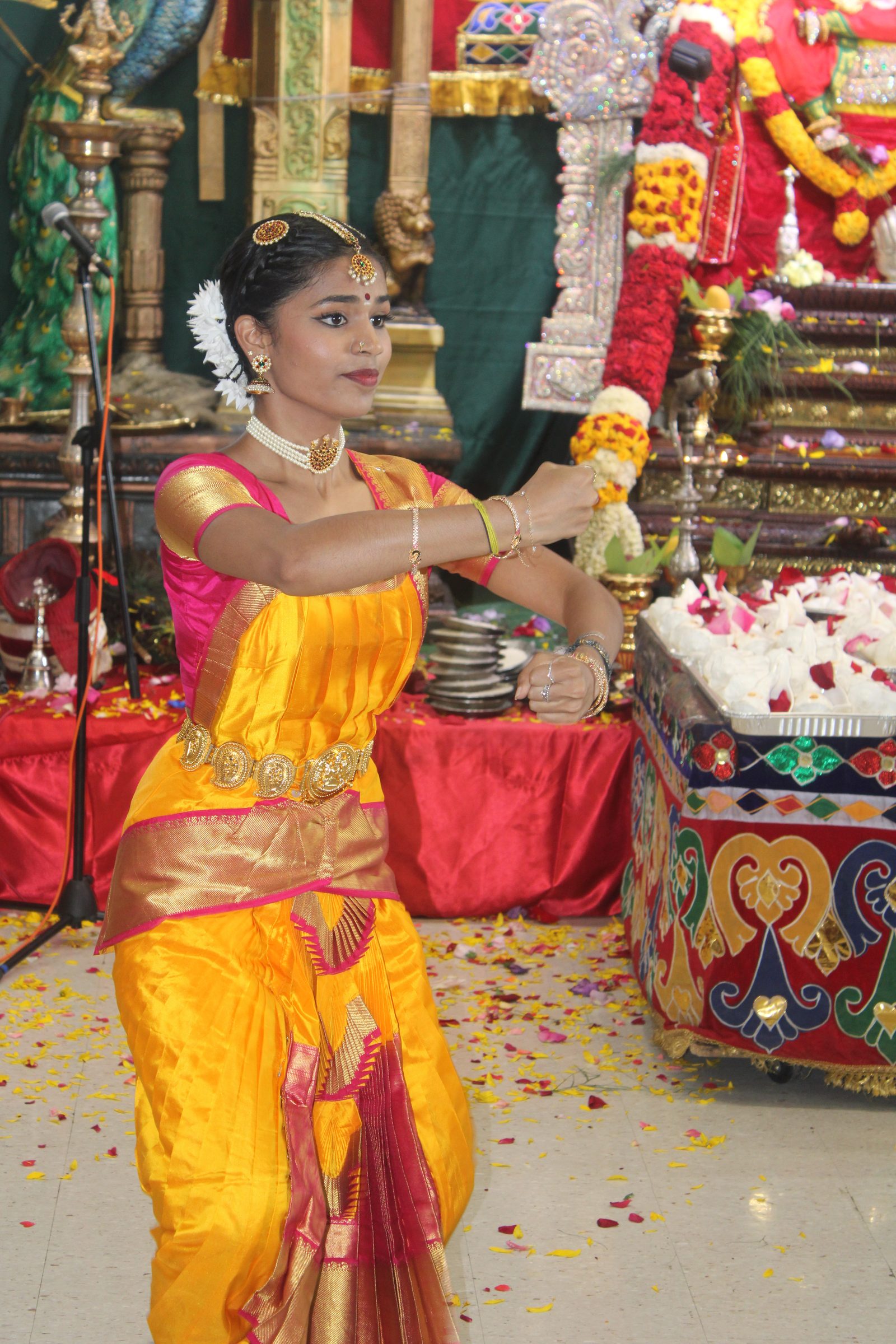 Festival 2024 photo