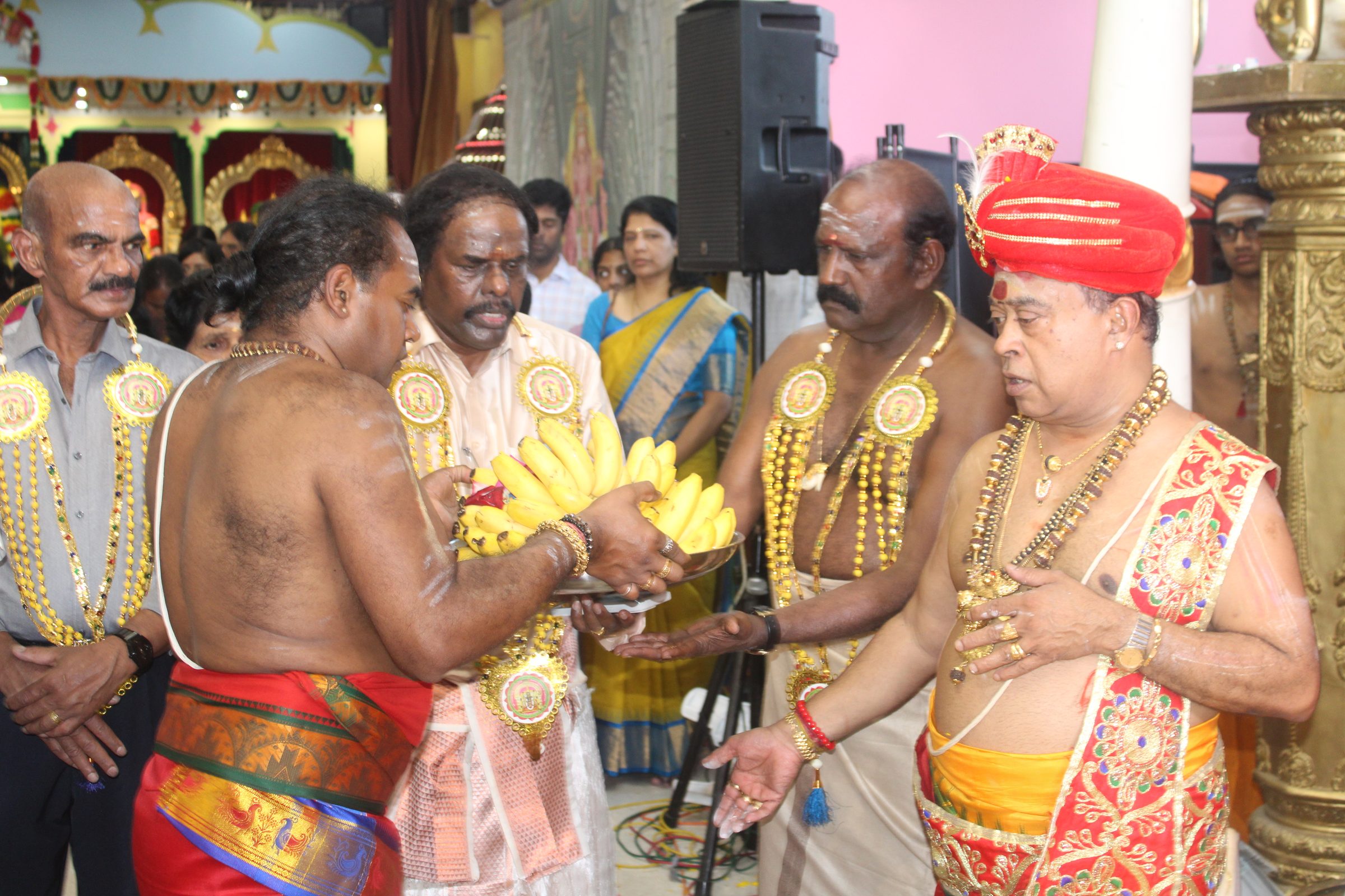 Festival 2024 photo