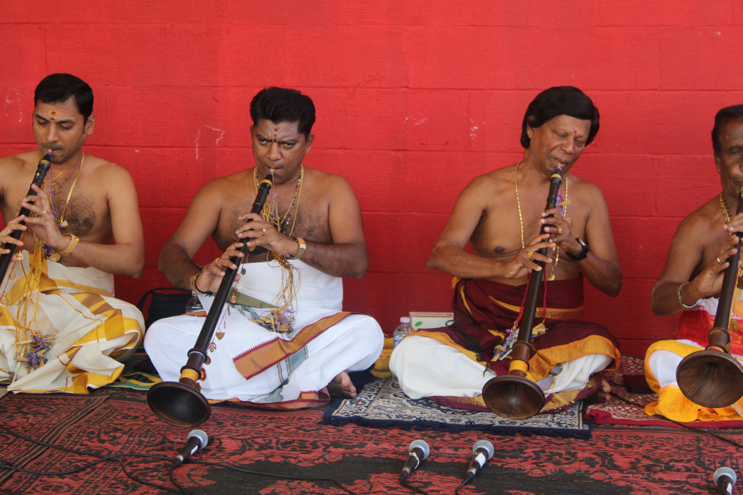 Festival 2024 photo
