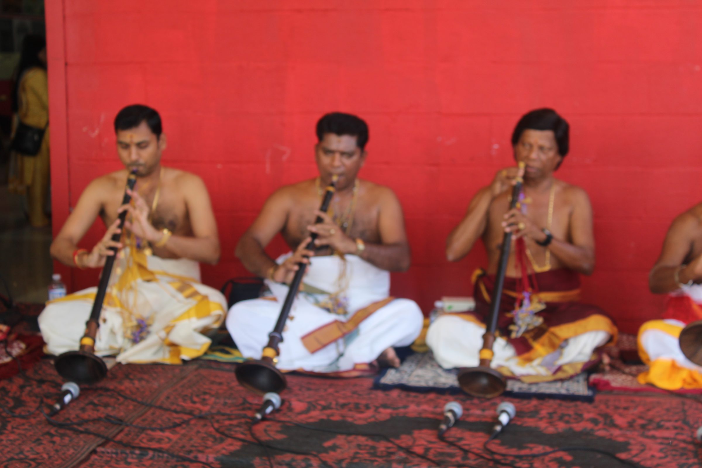 Festival 2024 photo