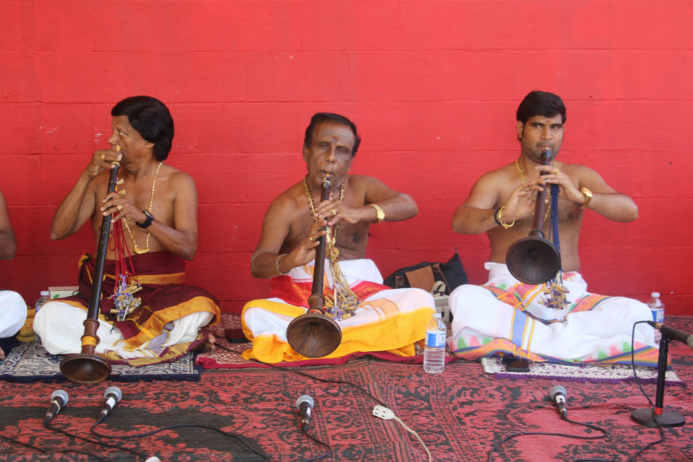 Festival 2024 photo