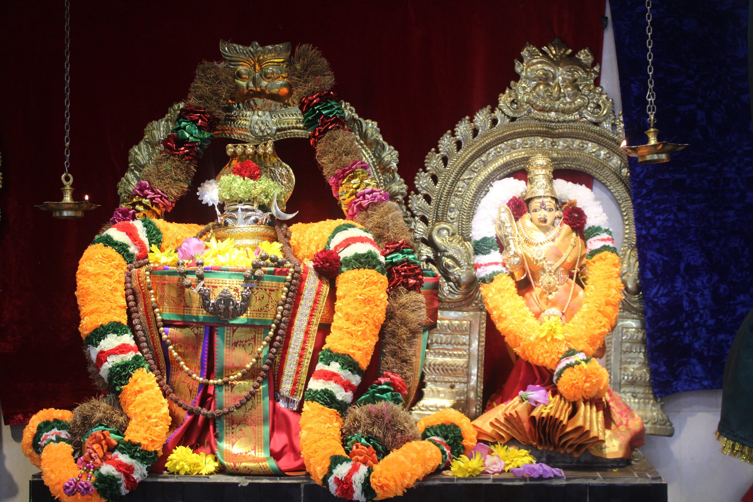 Festival 2024 photo