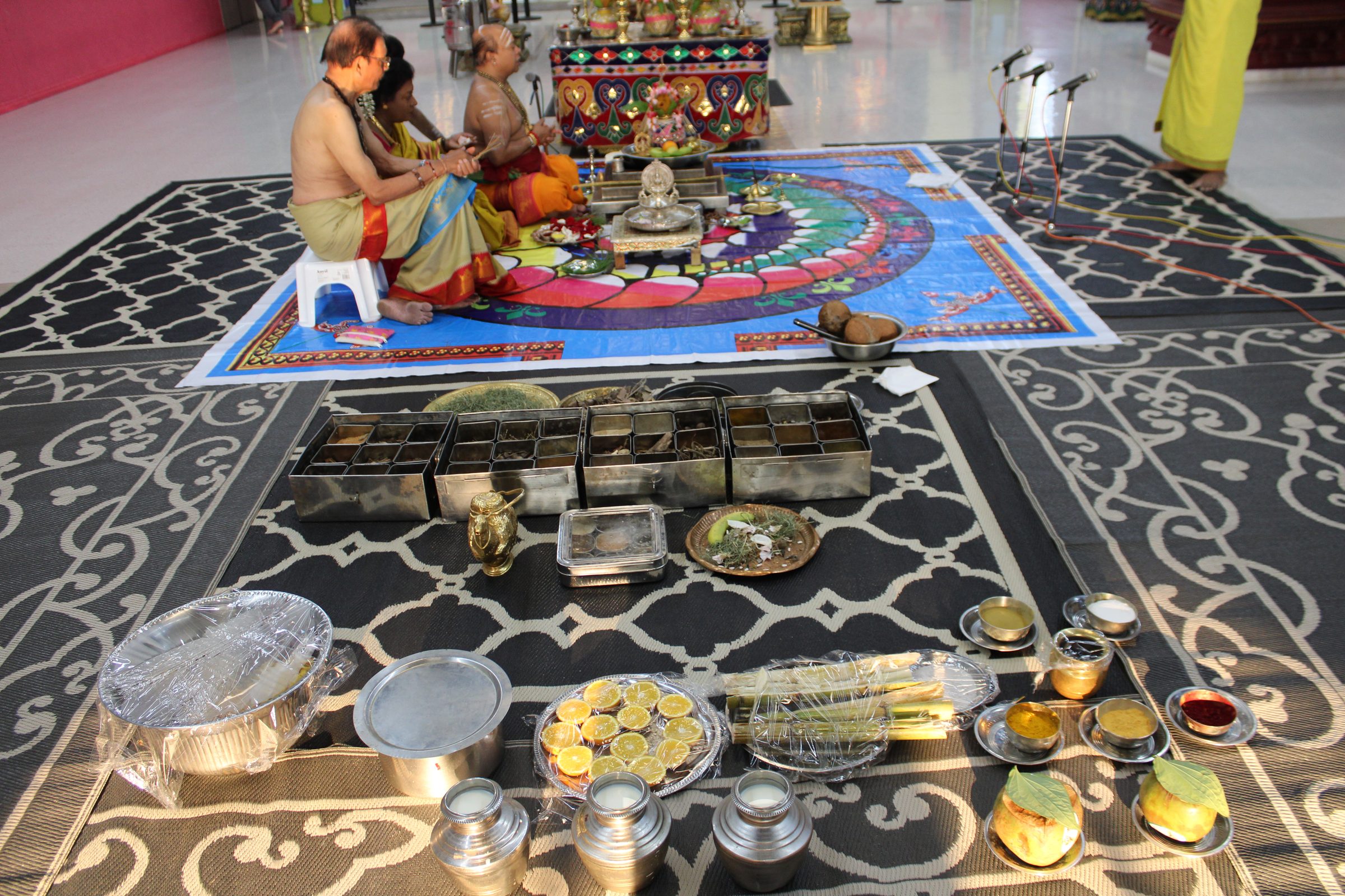 Festival 2024 photo