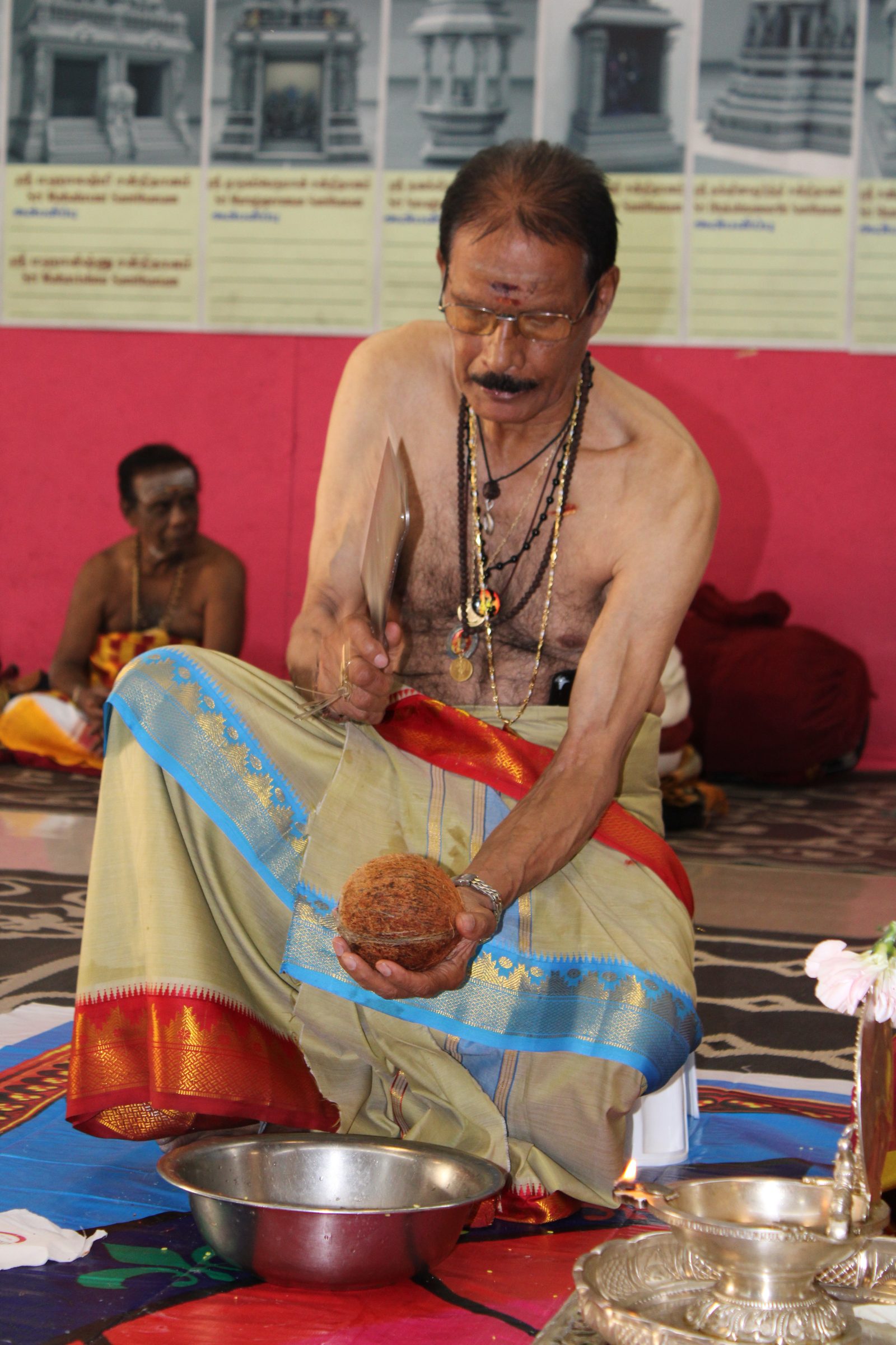 Festival 2024 photo