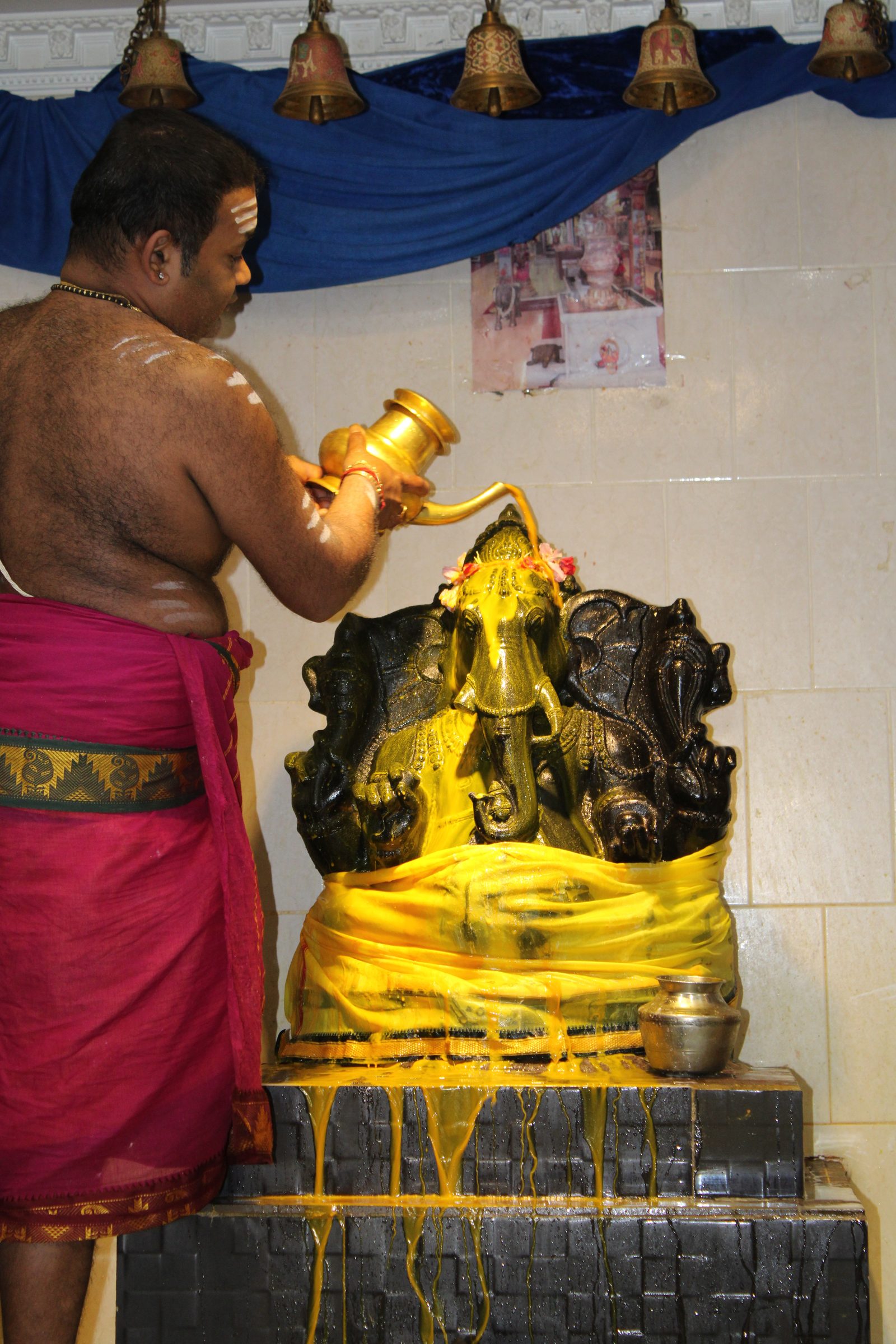 Festival 2024 photo