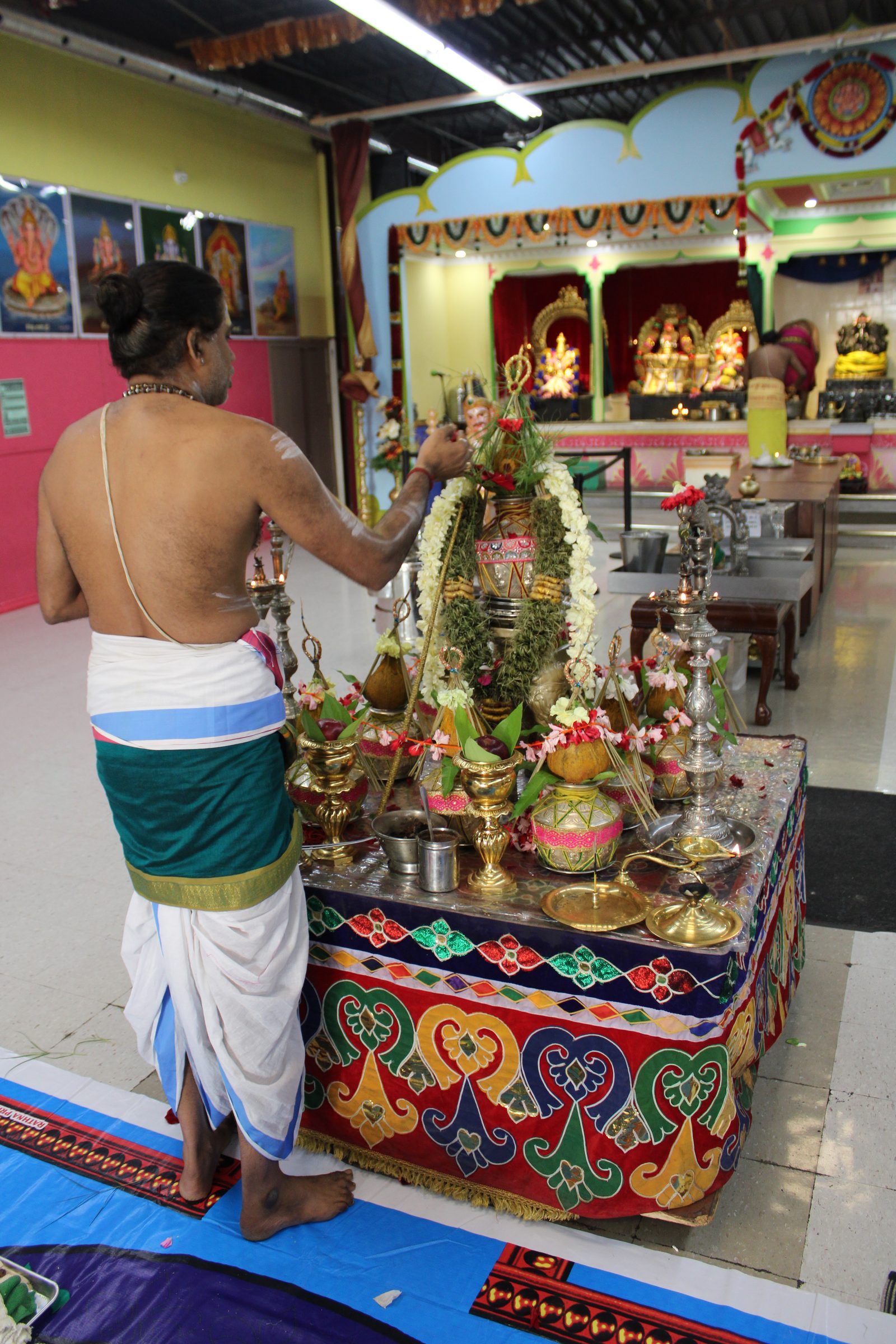 Festival 2024 photo
