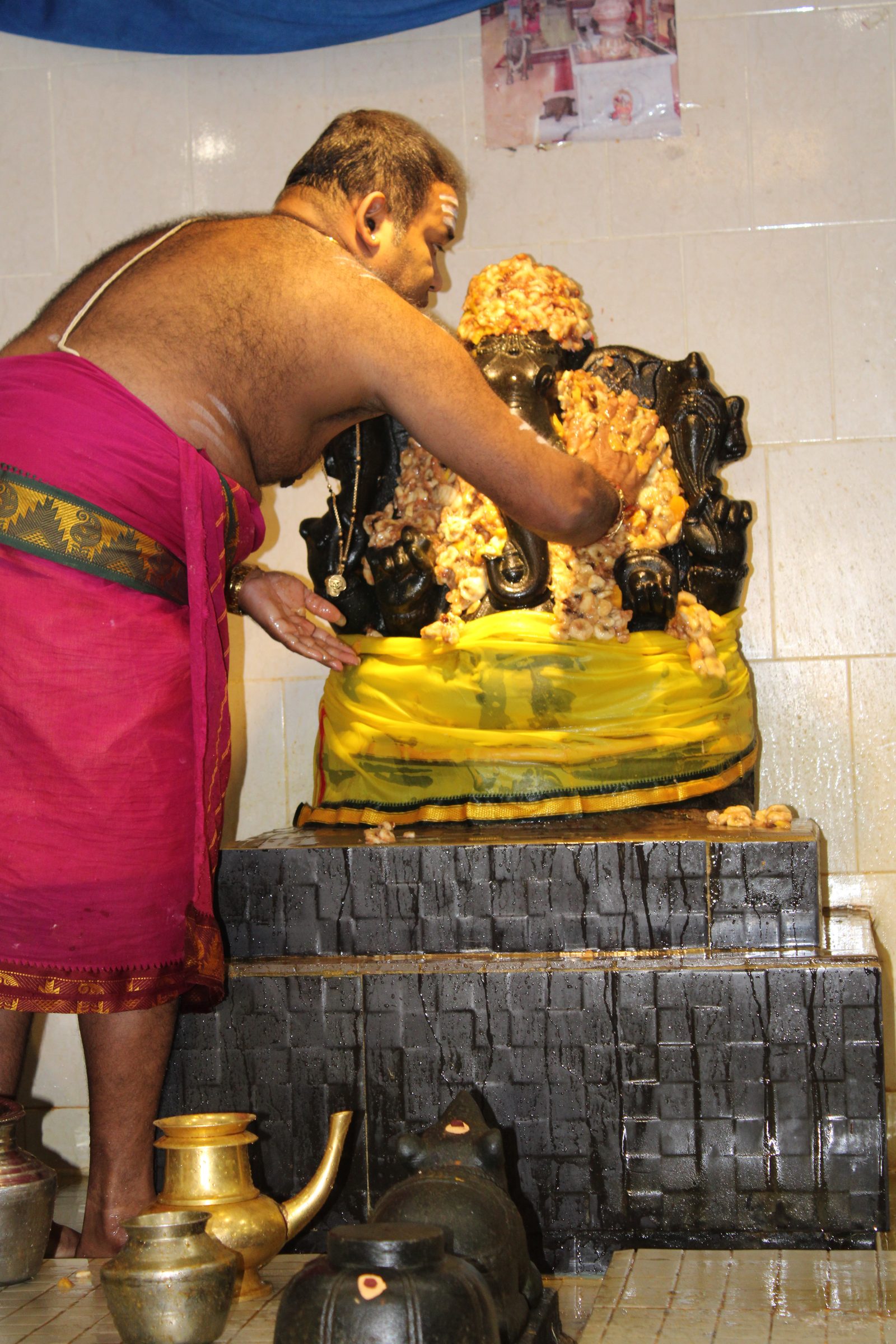 Festival 2024 photo