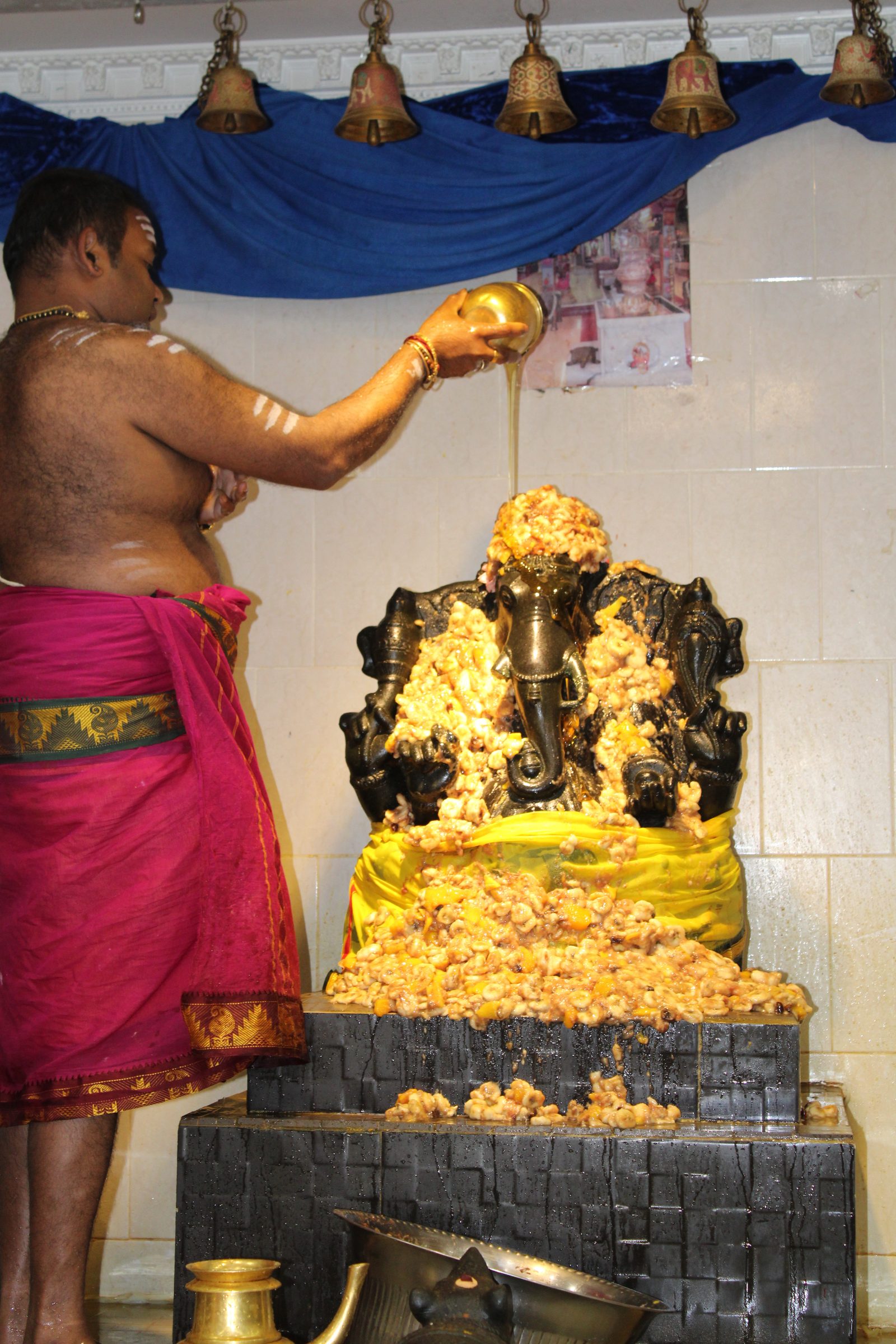 Festival 2024 photo