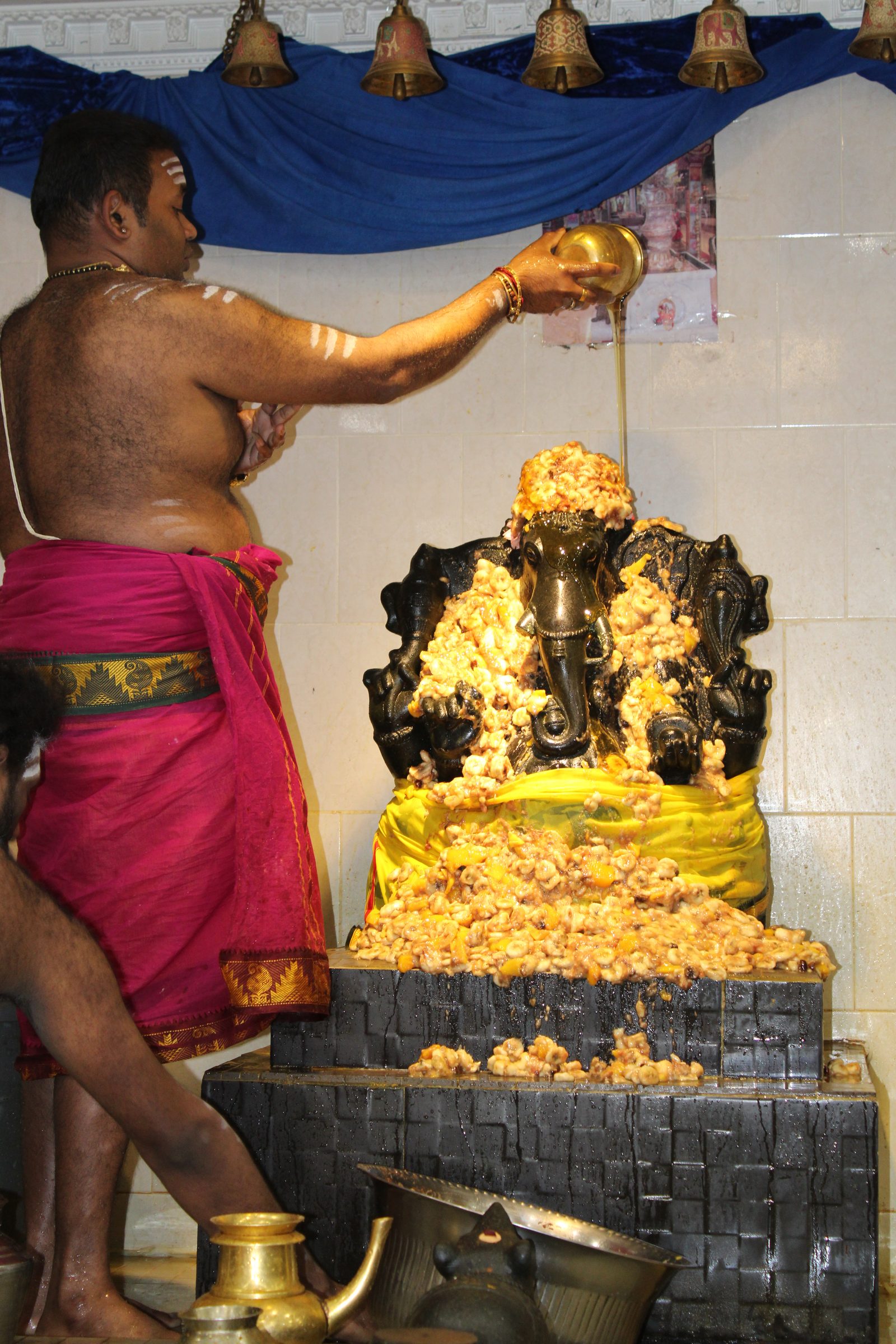 Festival 2024 photo