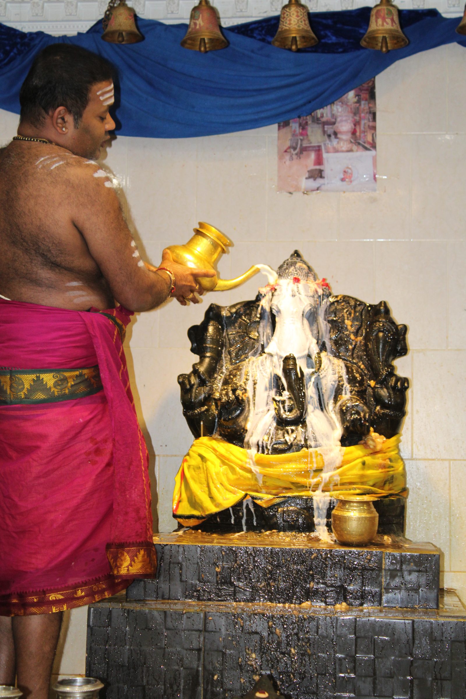 Festival 2024 photo