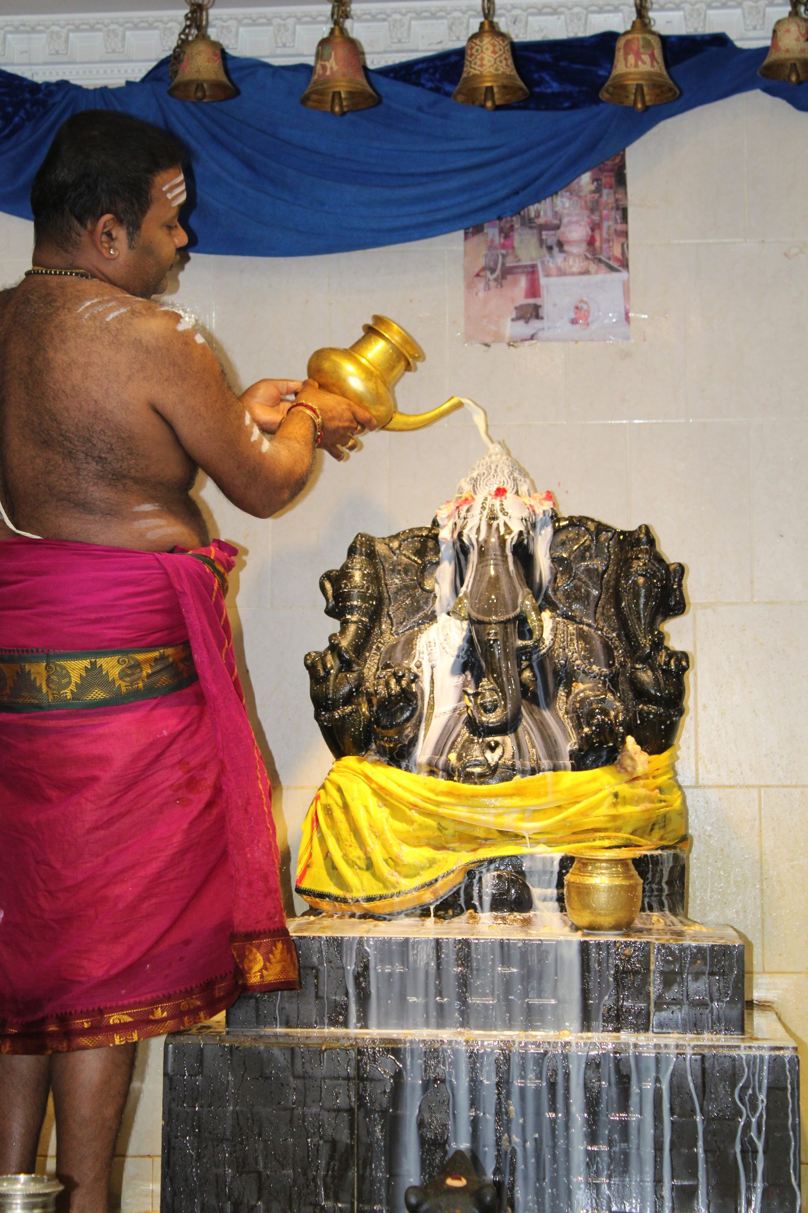 Festival 2024 photo