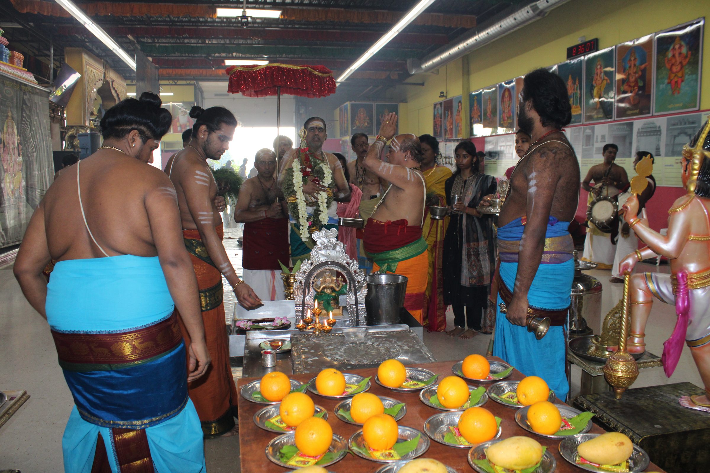Festival 2024 photo