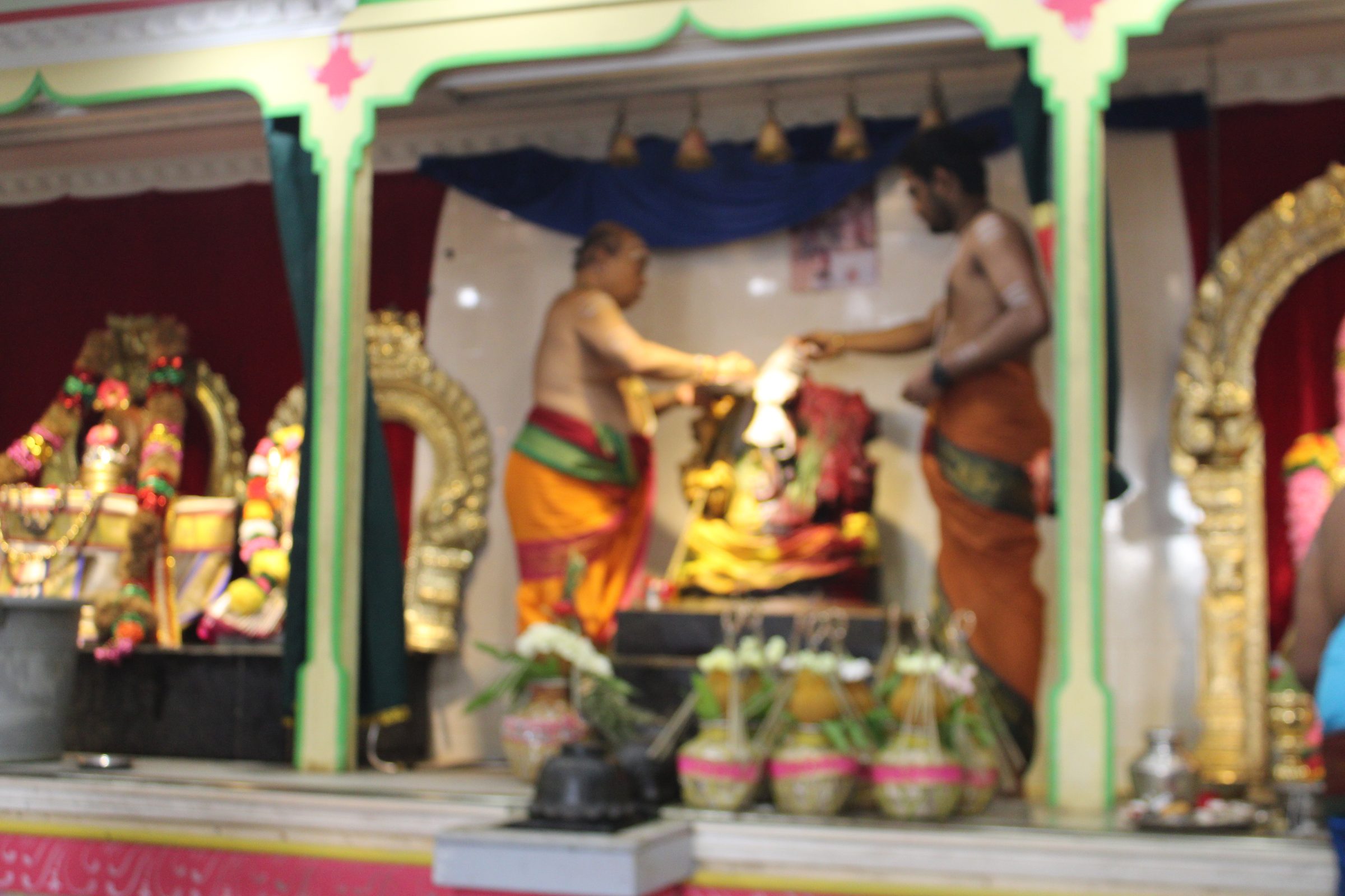 Festival 2024 photo