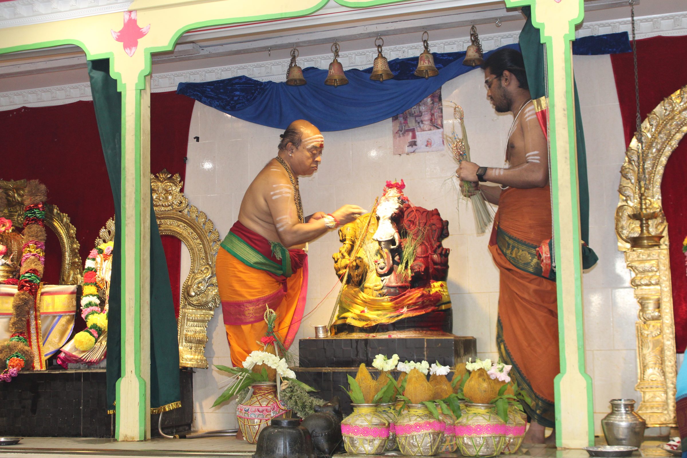 Festival 2024 photo