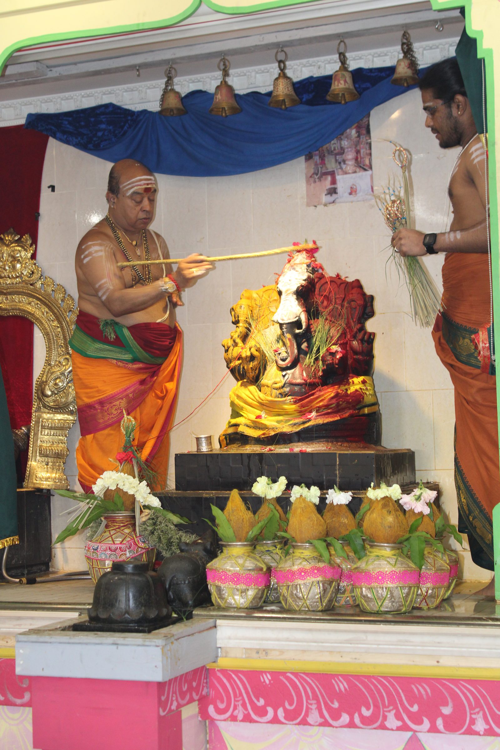 Festival 2024 photo