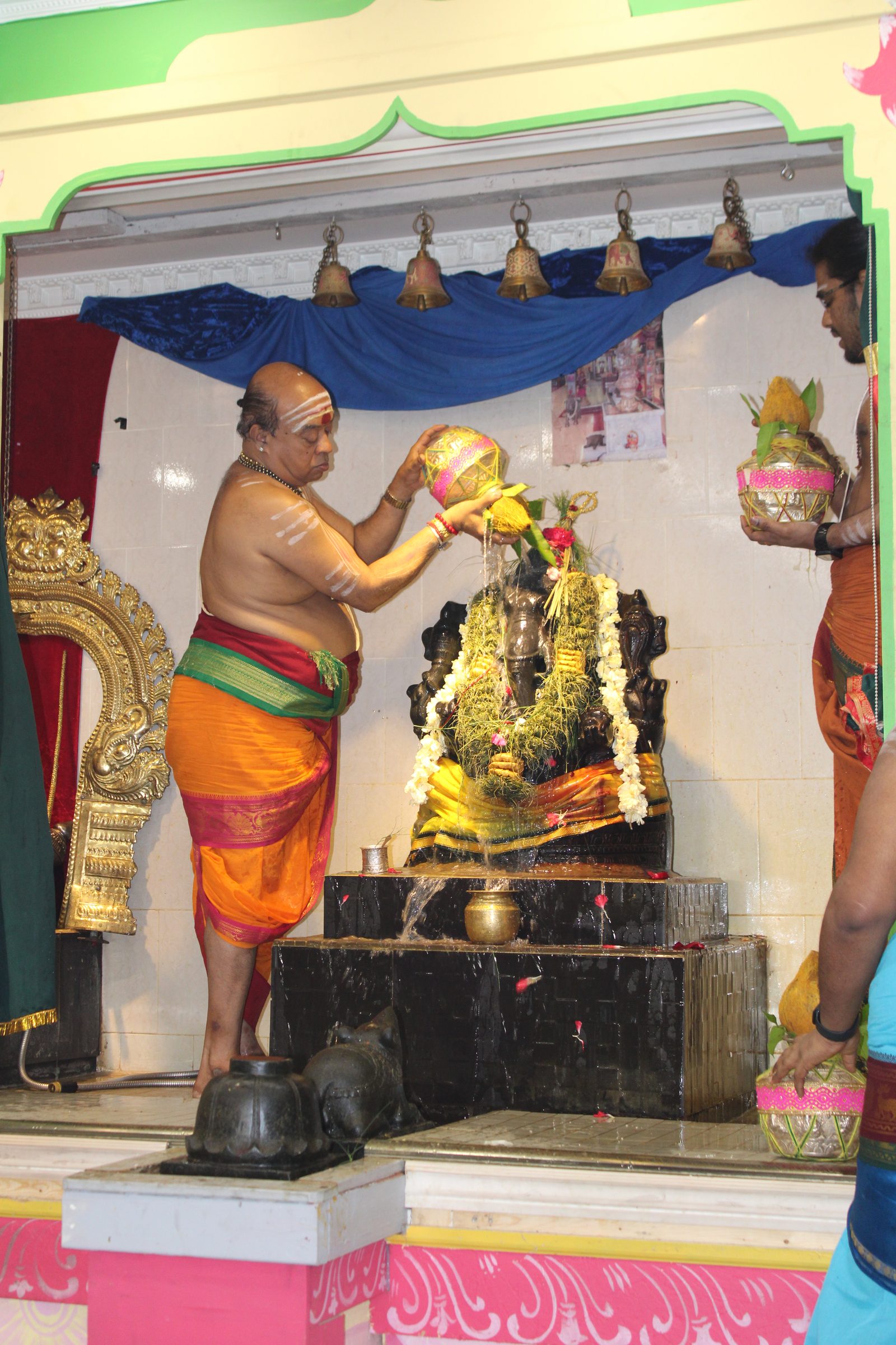 Festival 2024 photo