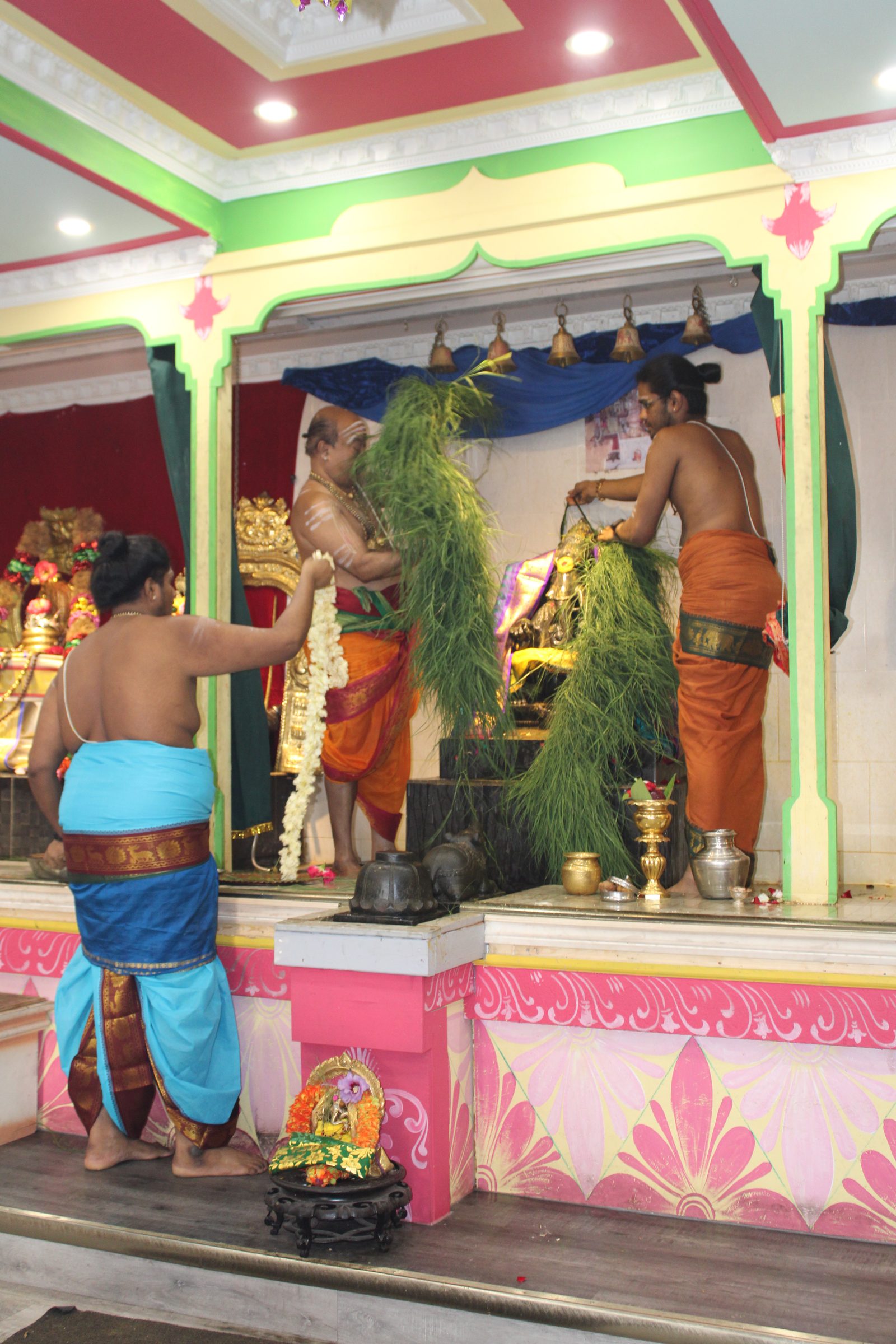 Festival 2024 photo