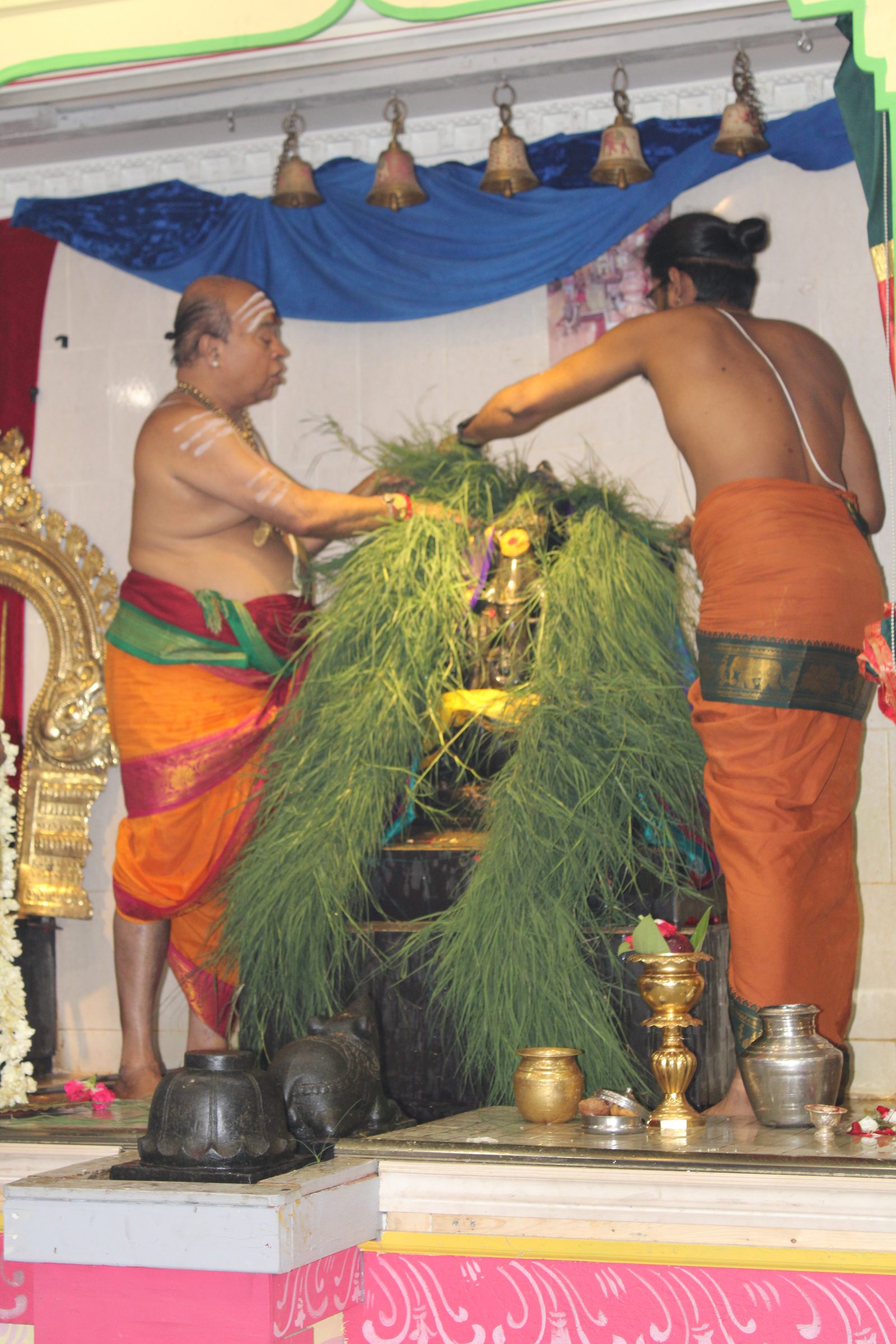 Festival 2024 photo