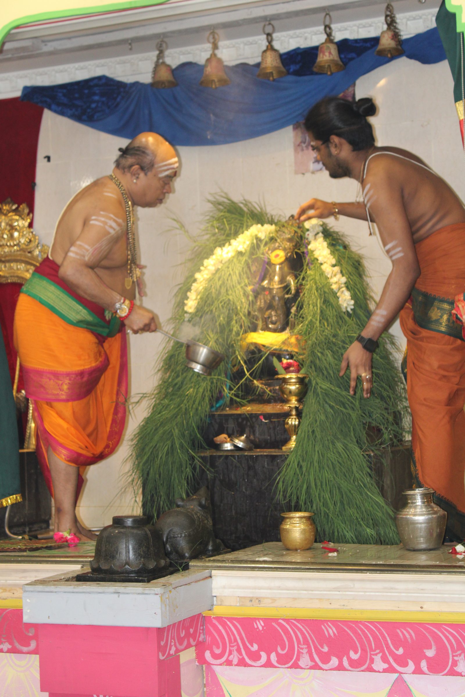 Festival 2024 photo