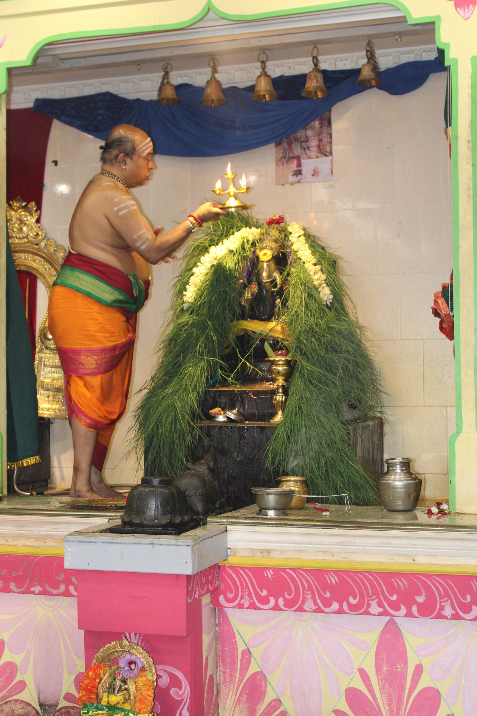 Festival 2024 photo