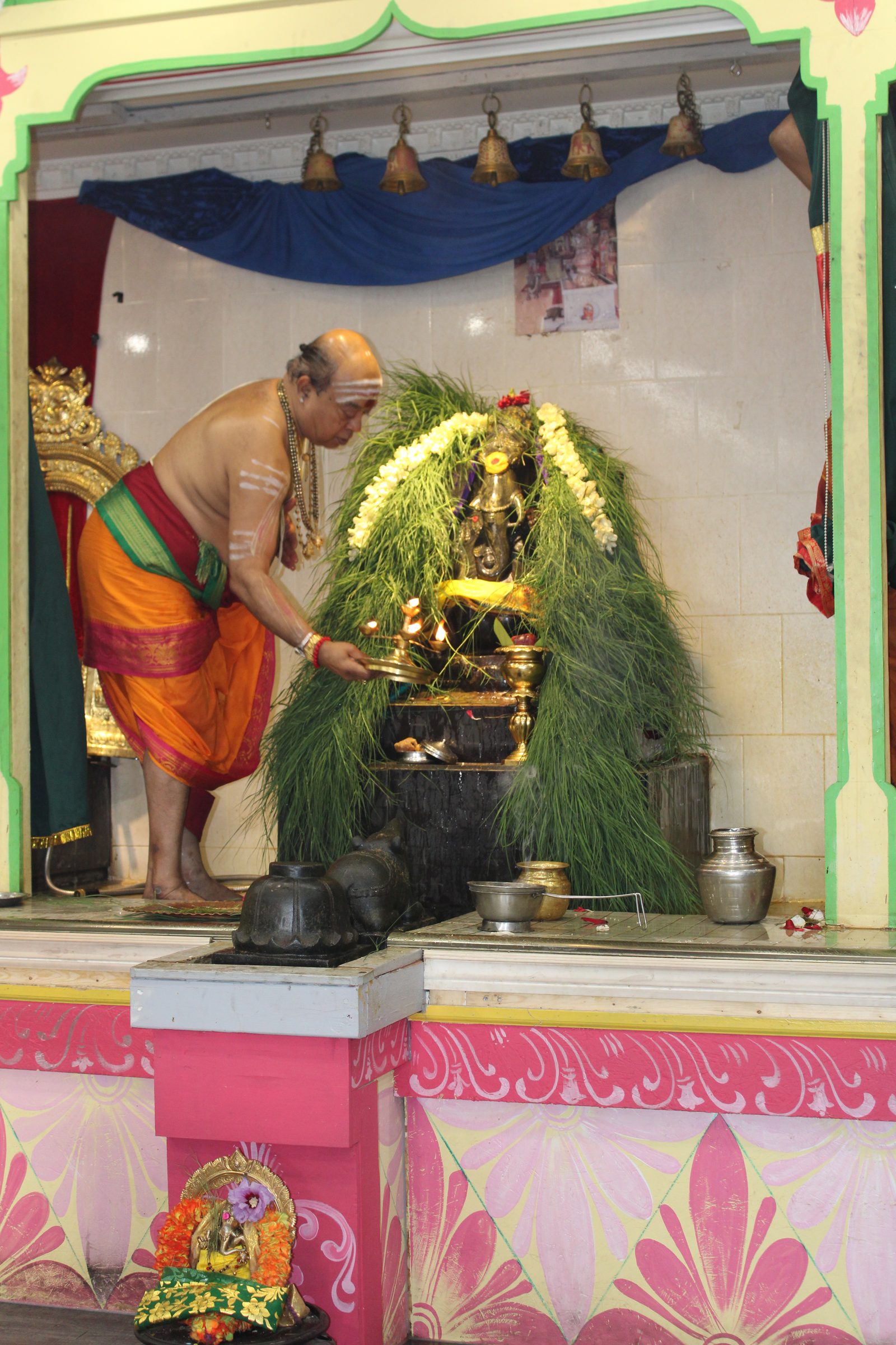Festival 2024 photo