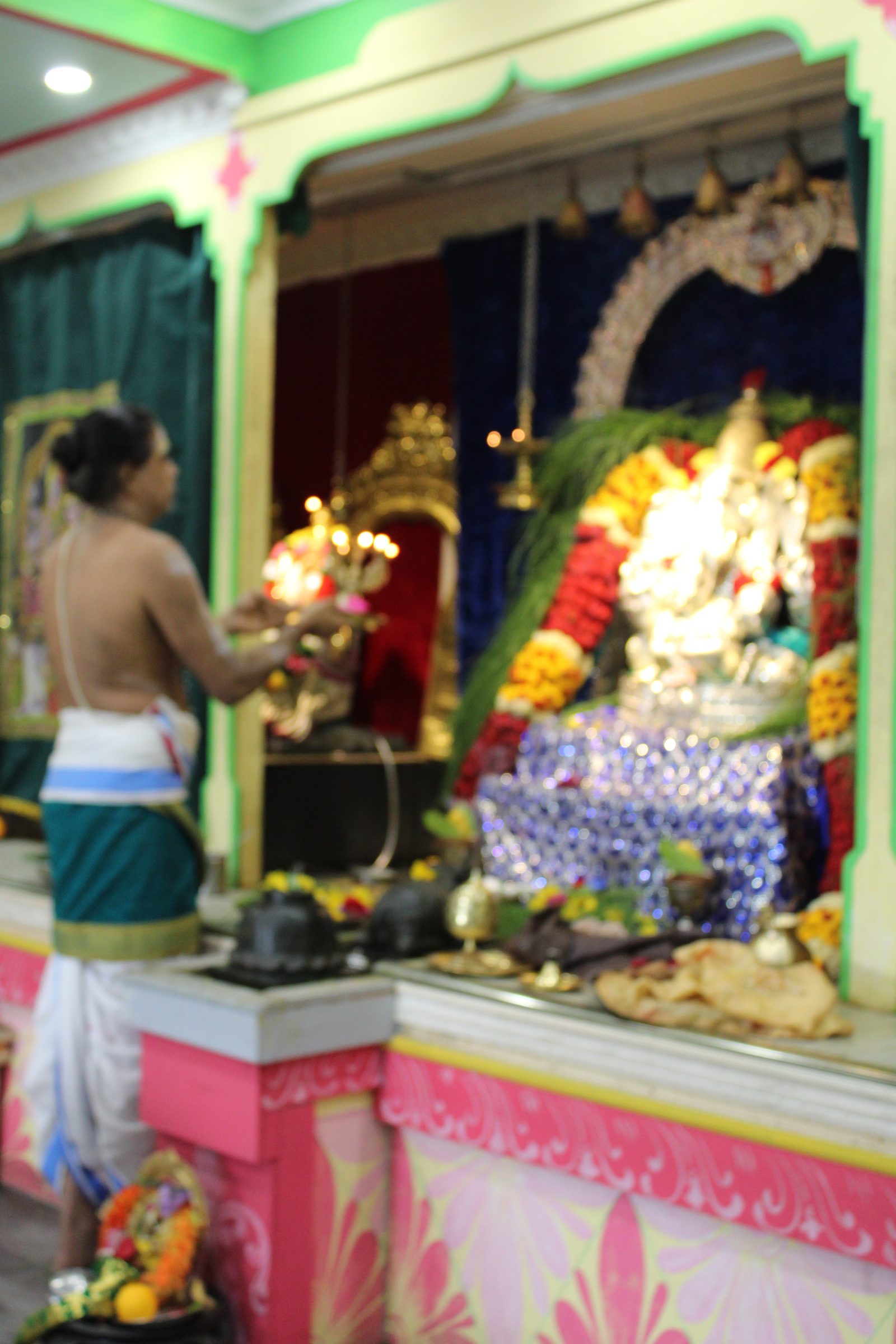 Festival 2024 photo