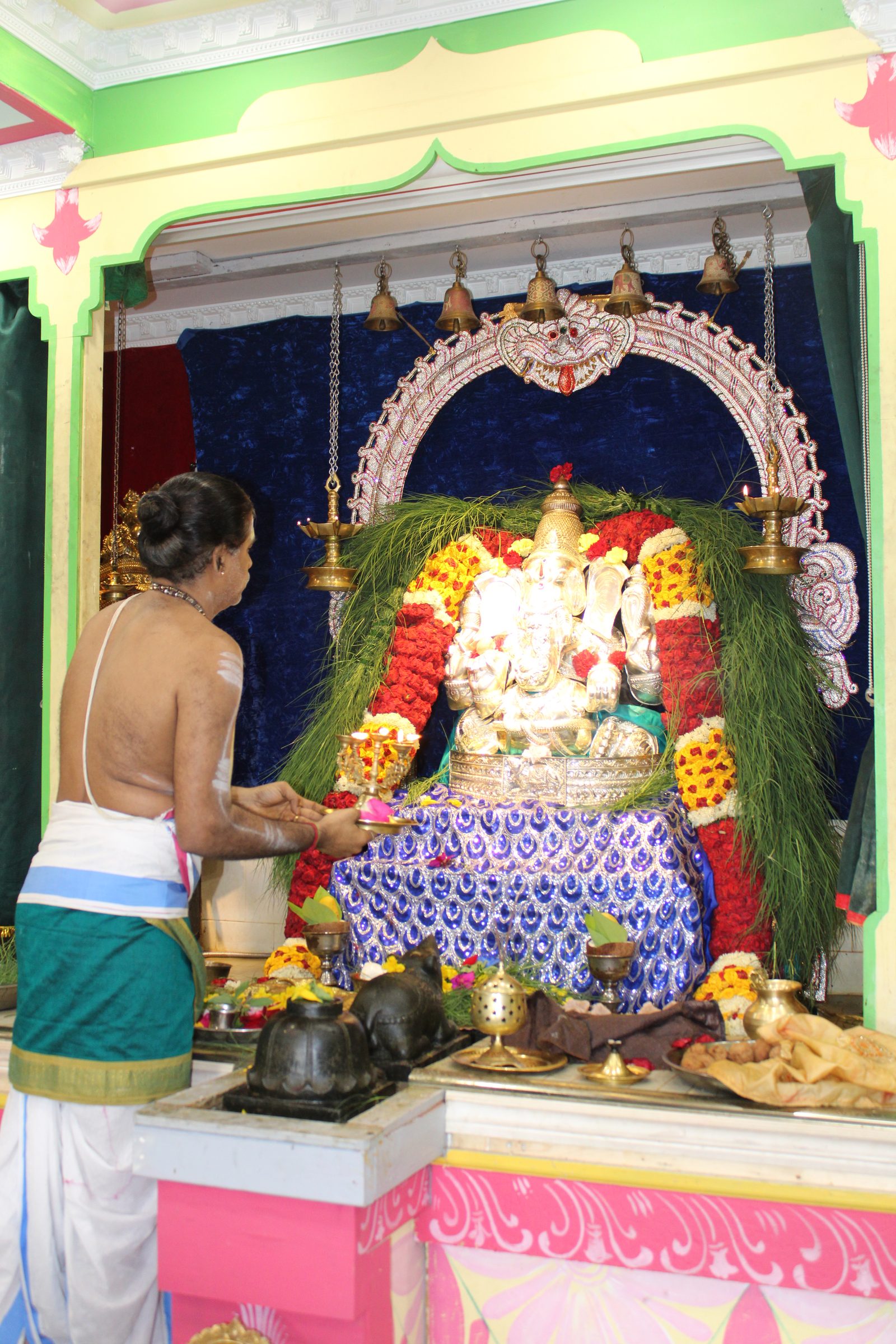 Festival 2024 photo