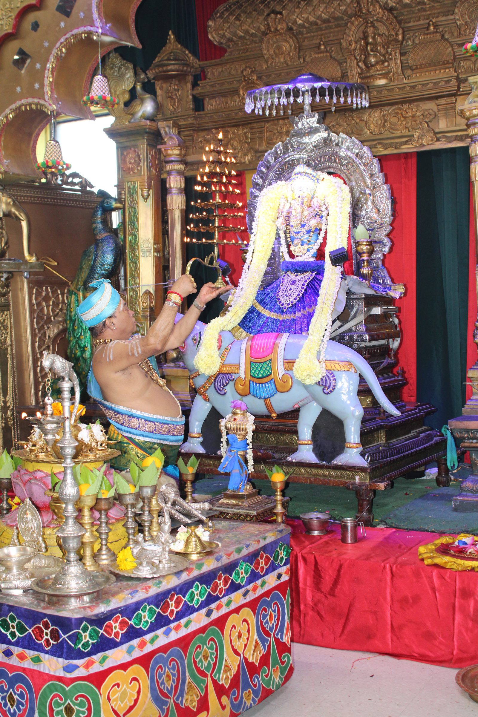 Festival 2024 photo