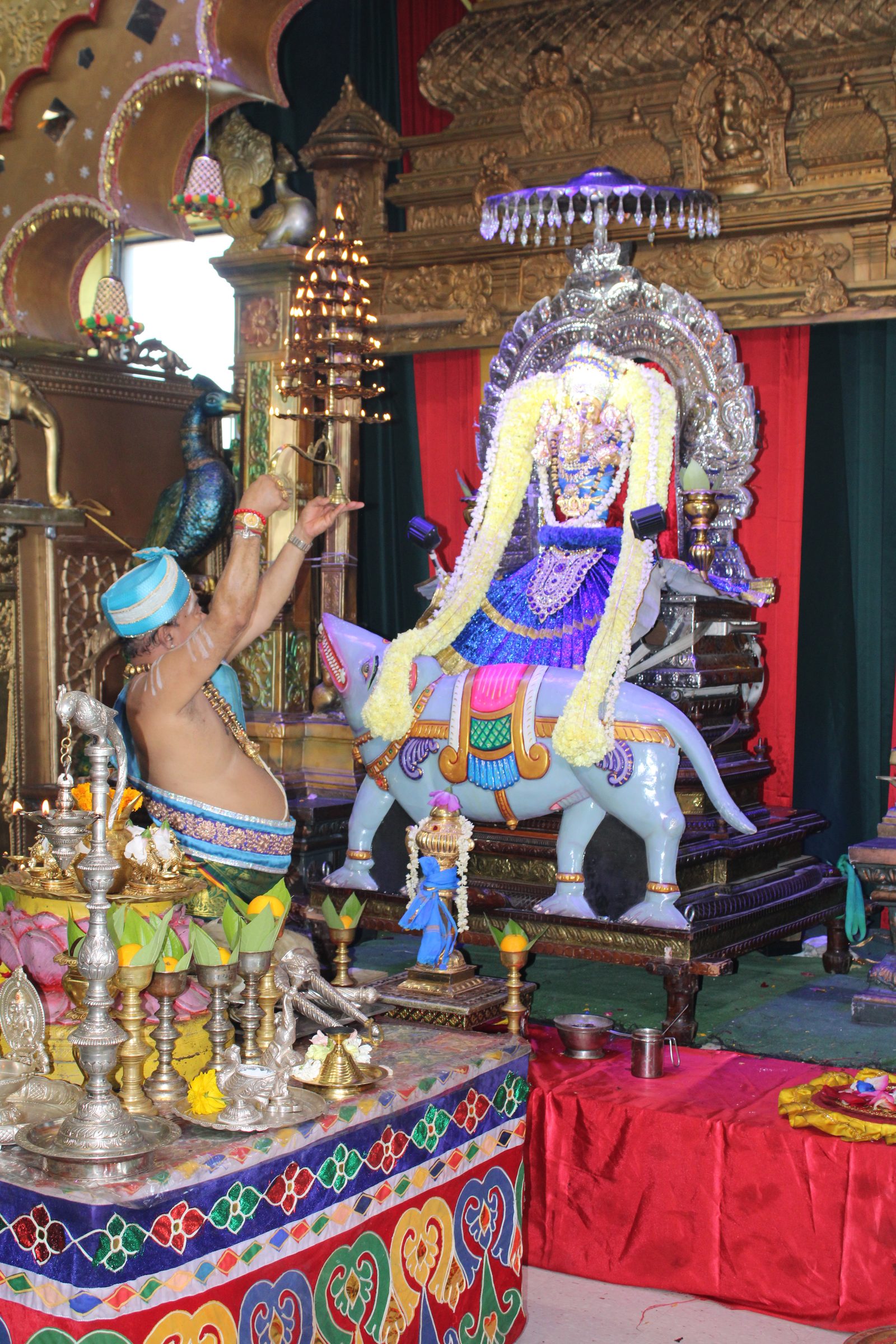 Festival 2024 photo