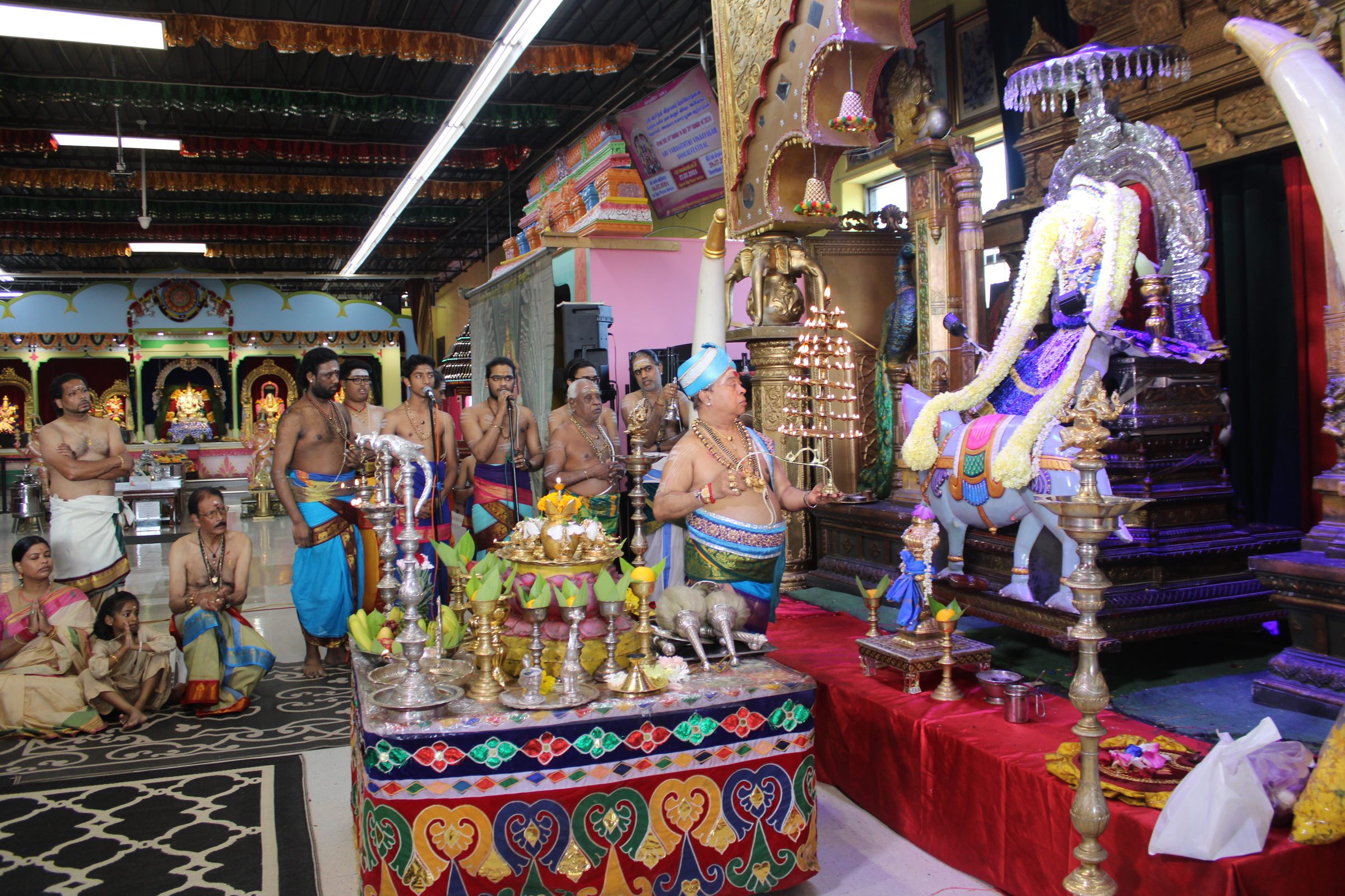 Festival 2024 photo