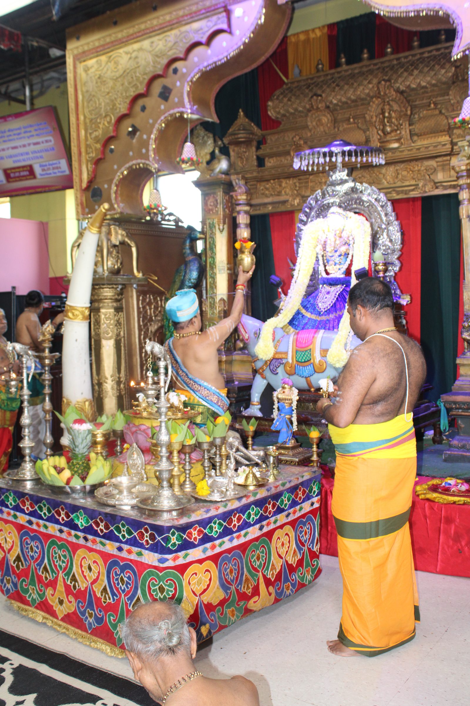 Festival 2024 photo
