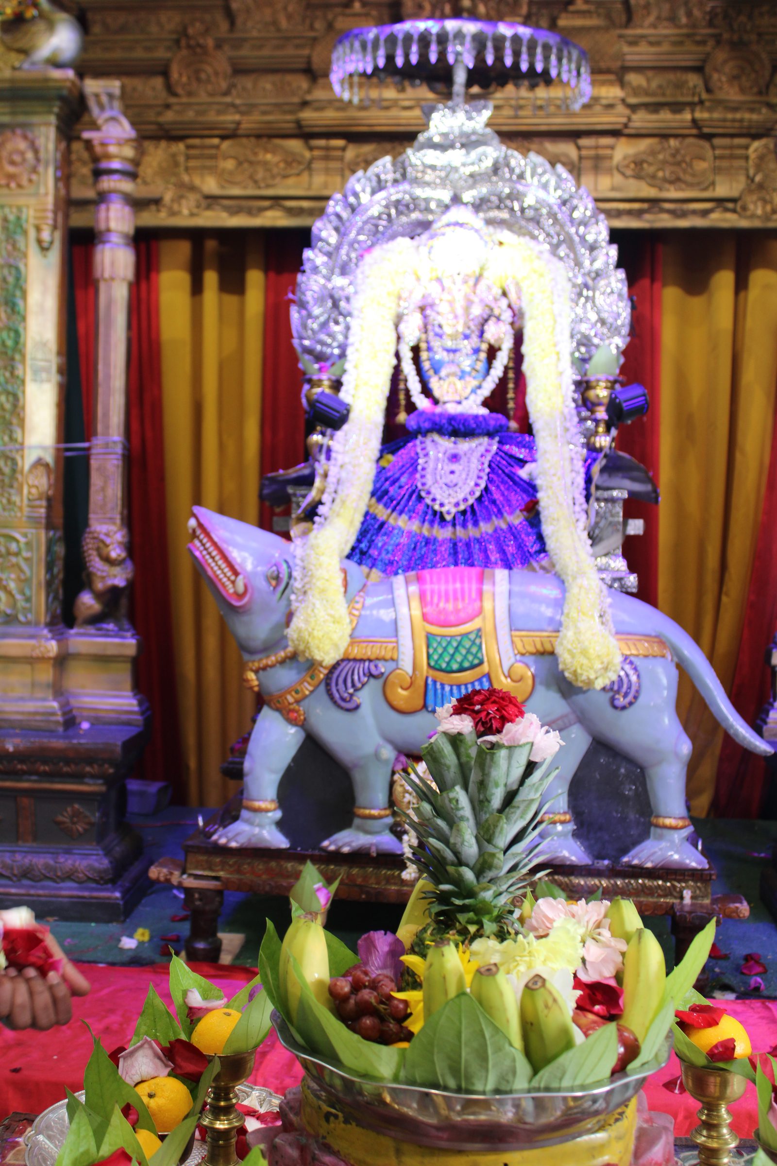 Festival 2024 photo