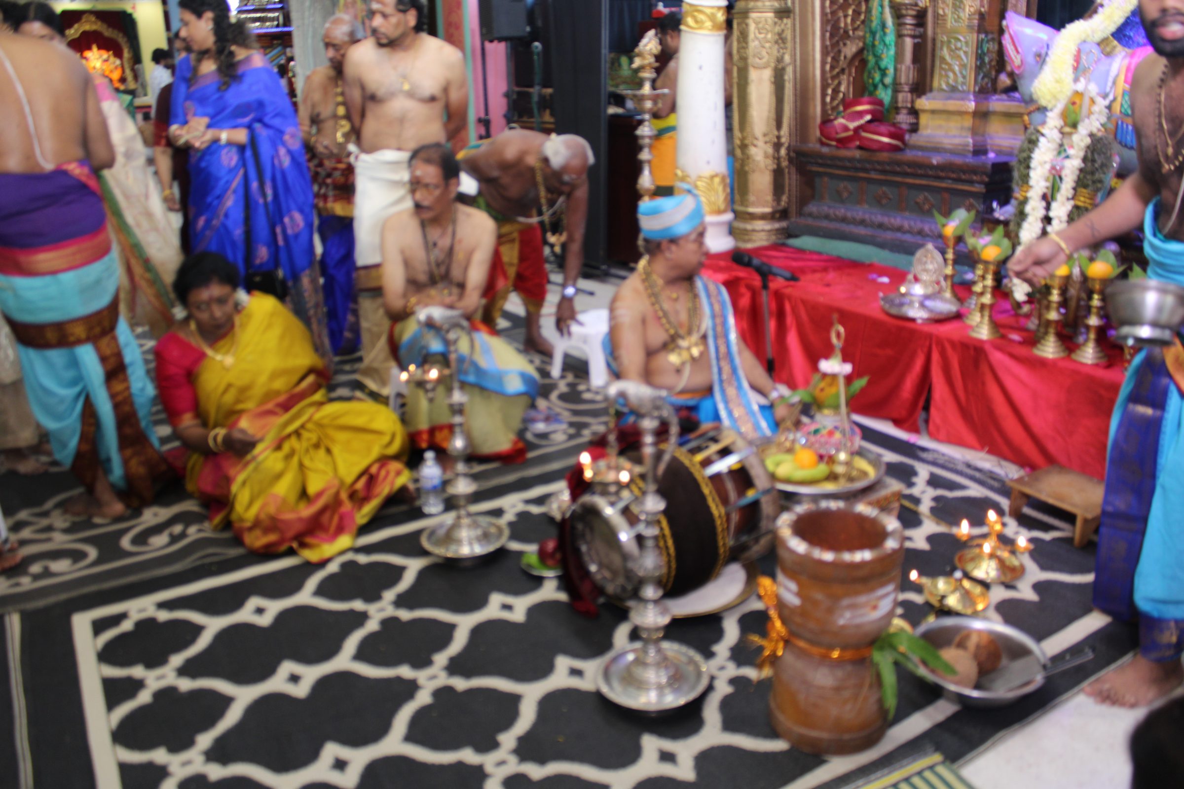 Festival 2024 photo