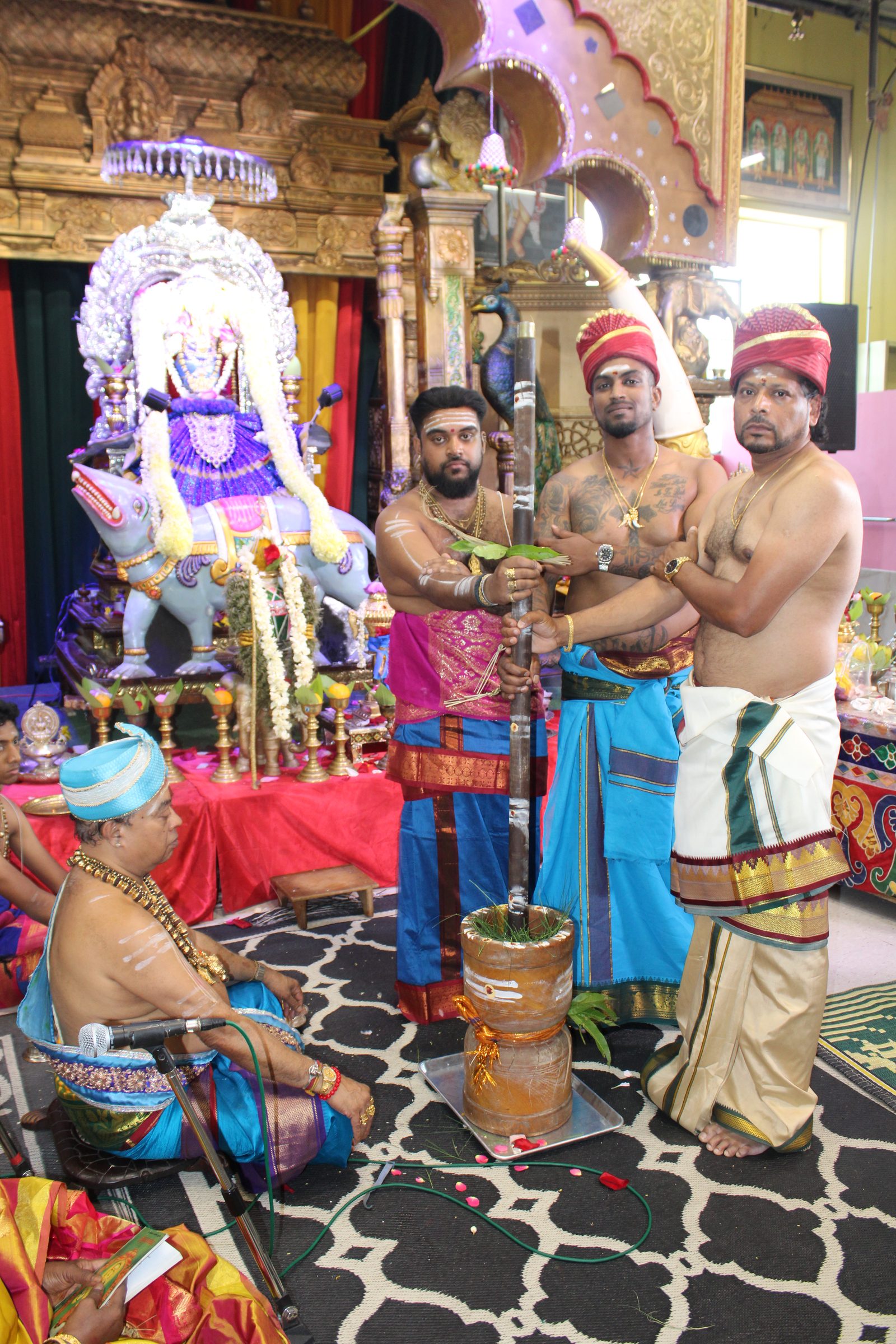 Festival 2024 photo