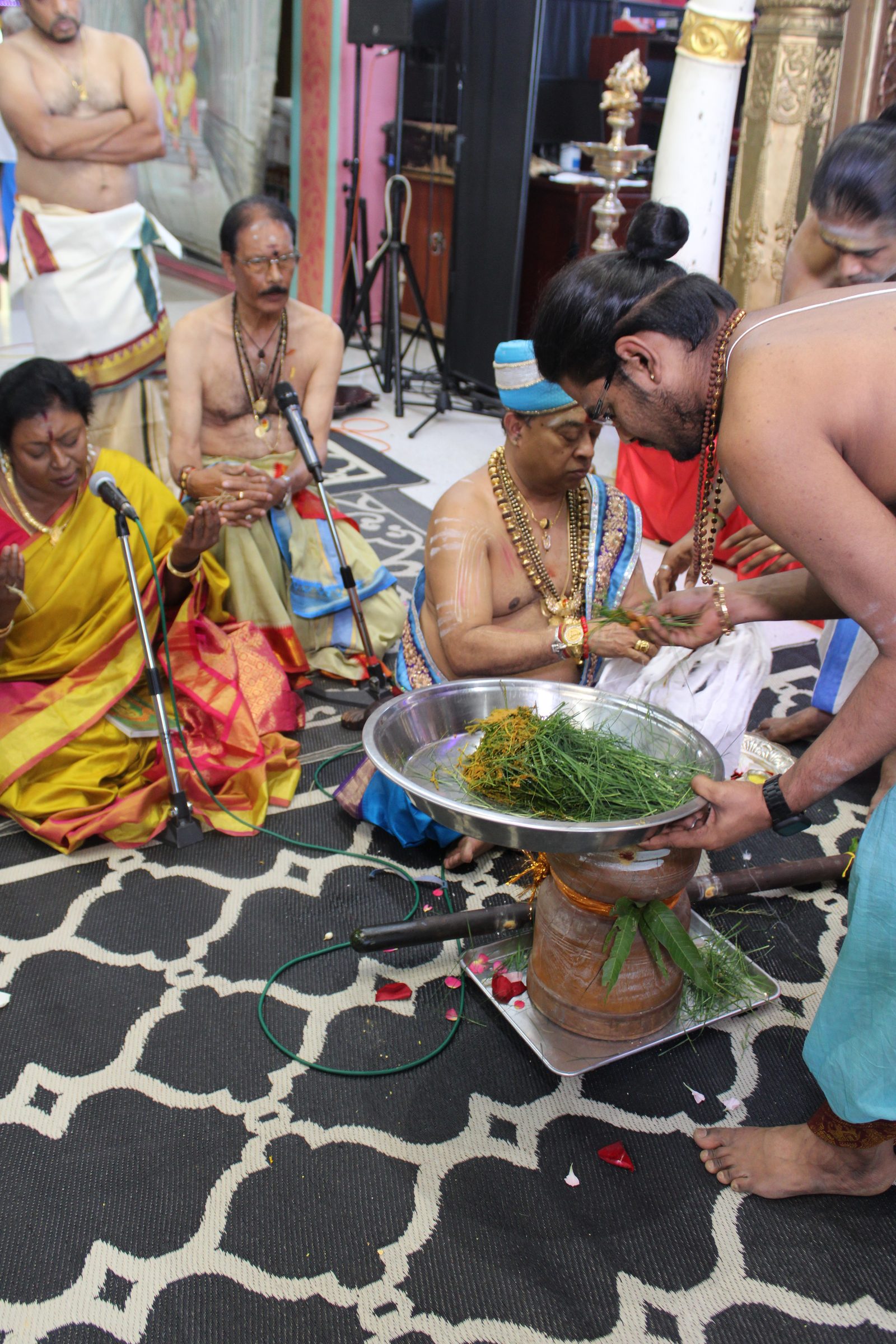 Festival 2024 photo