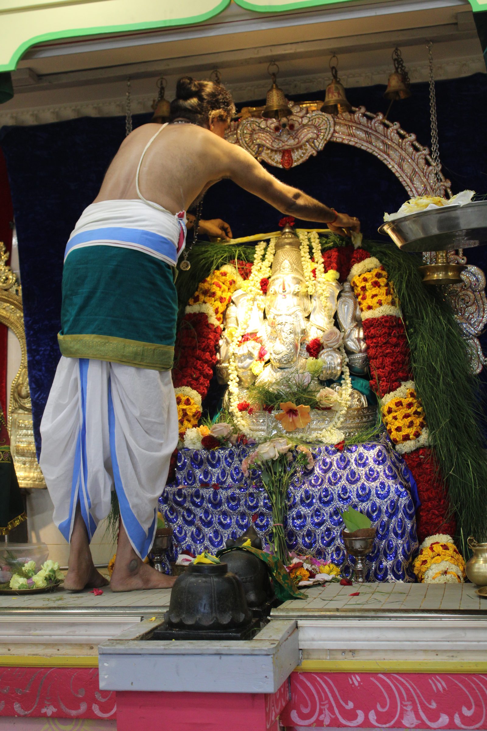 Festival 2024 photo