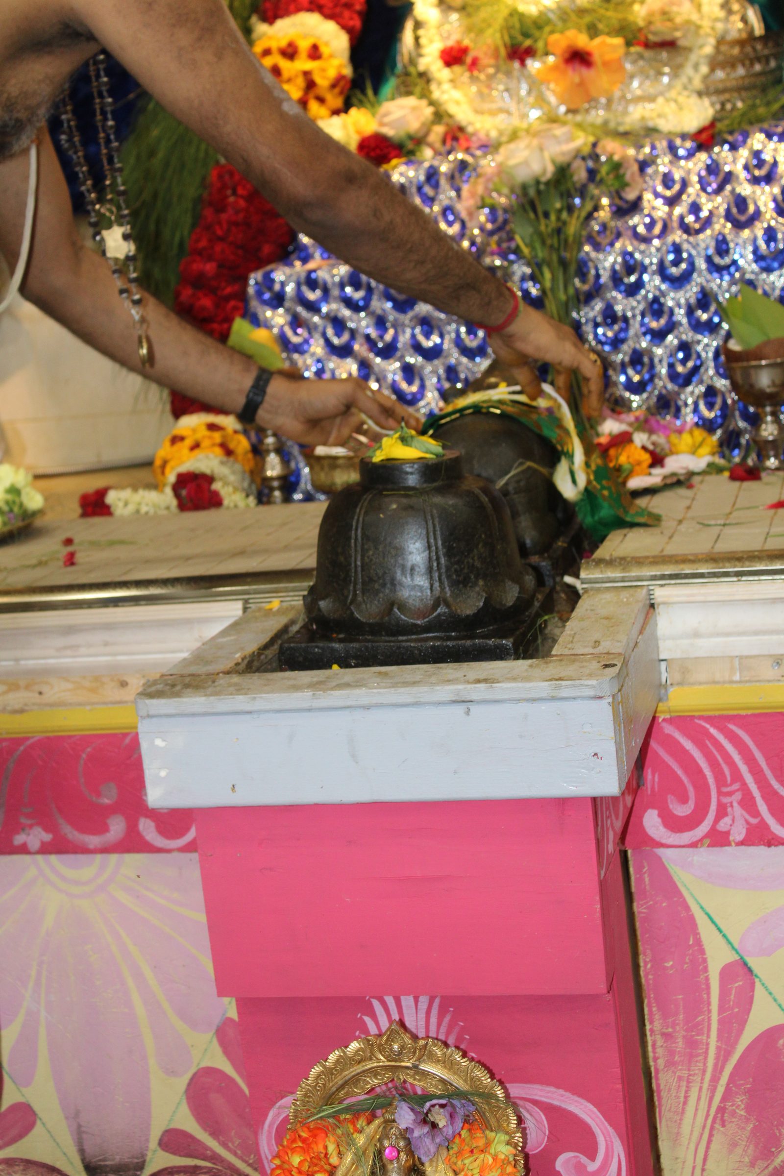 Festival 2024 photo