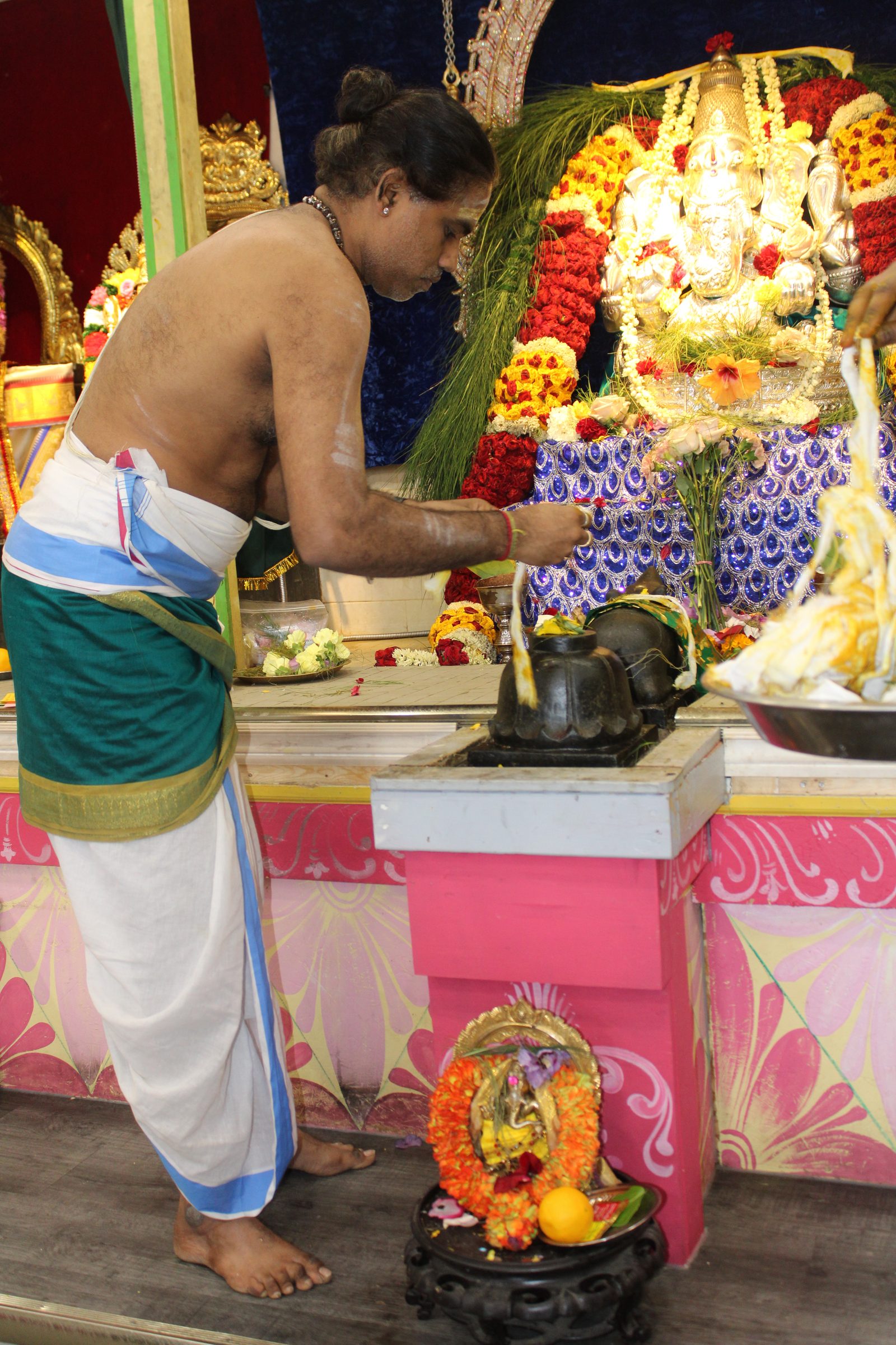 Festival 2024 photo