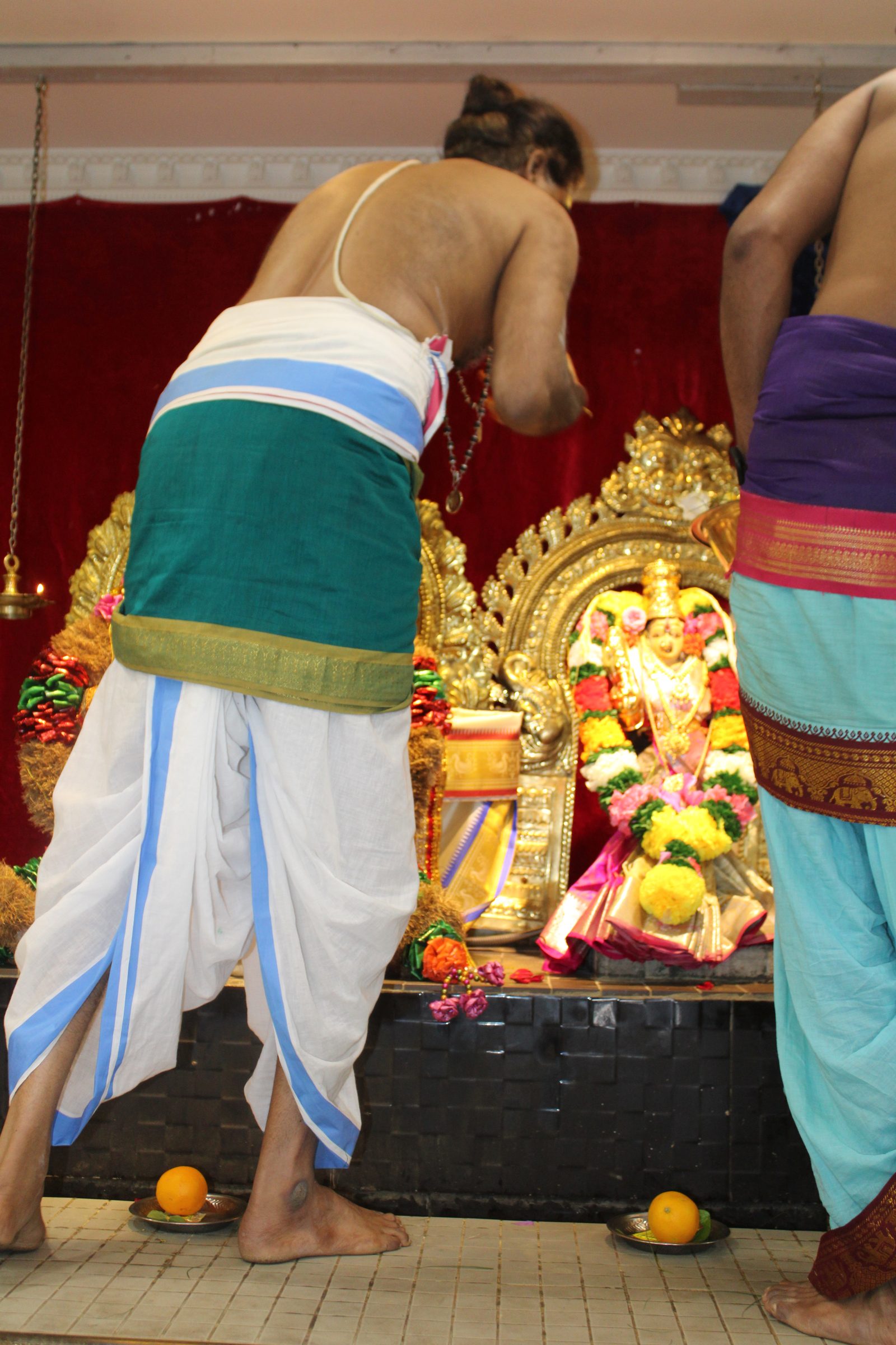 Festival 2024 photo