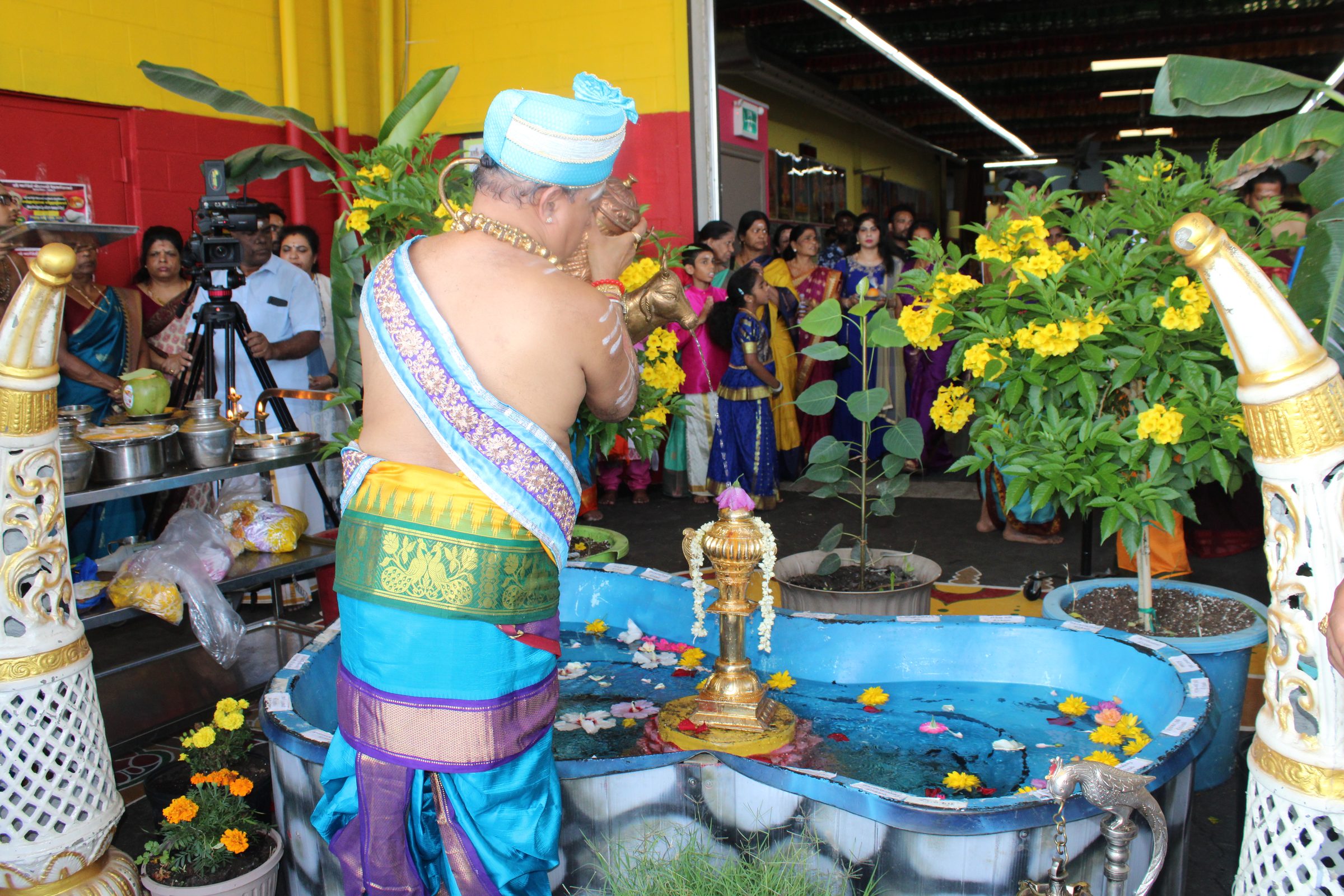 Festival 2024 photo