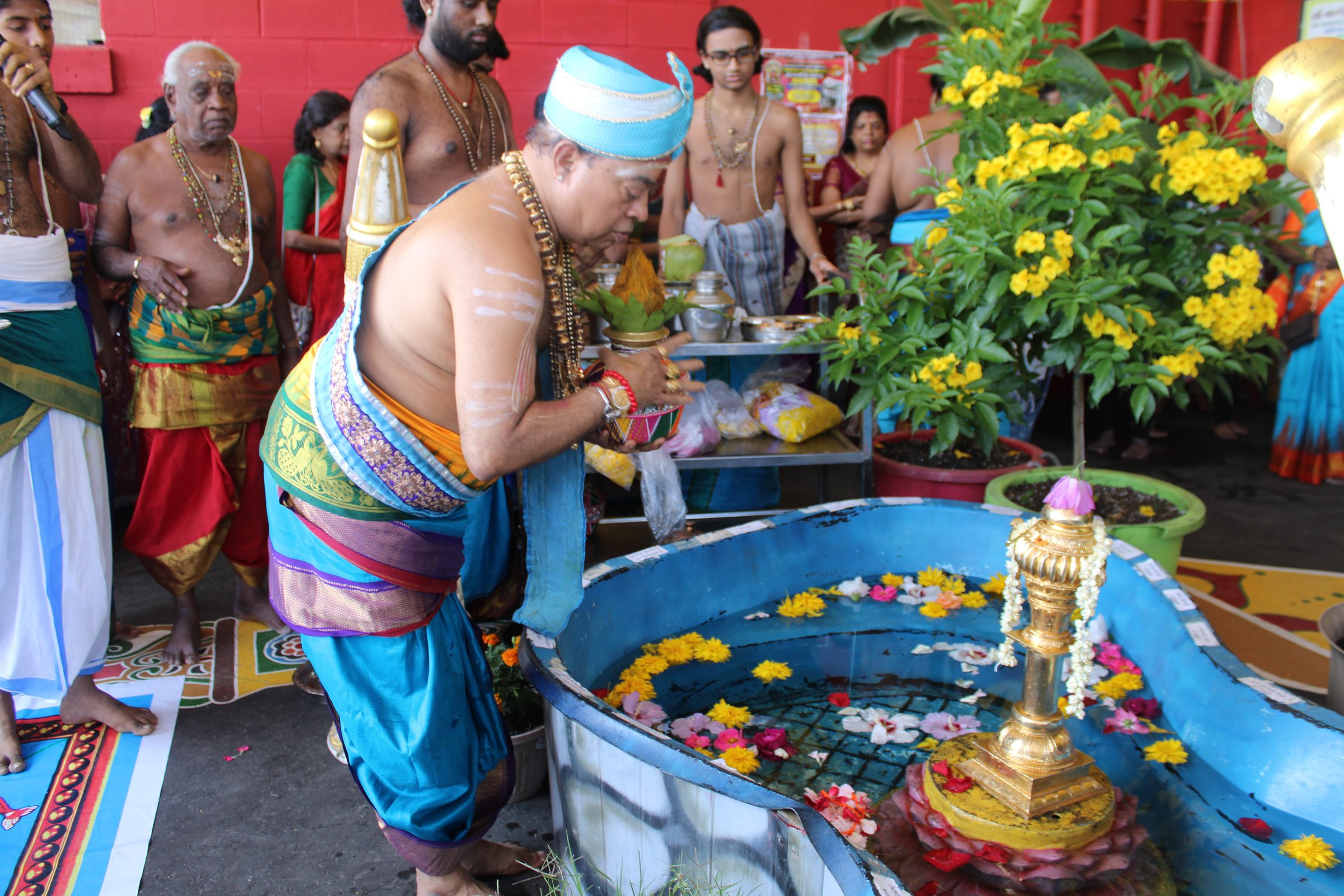 Festival 2024 photo