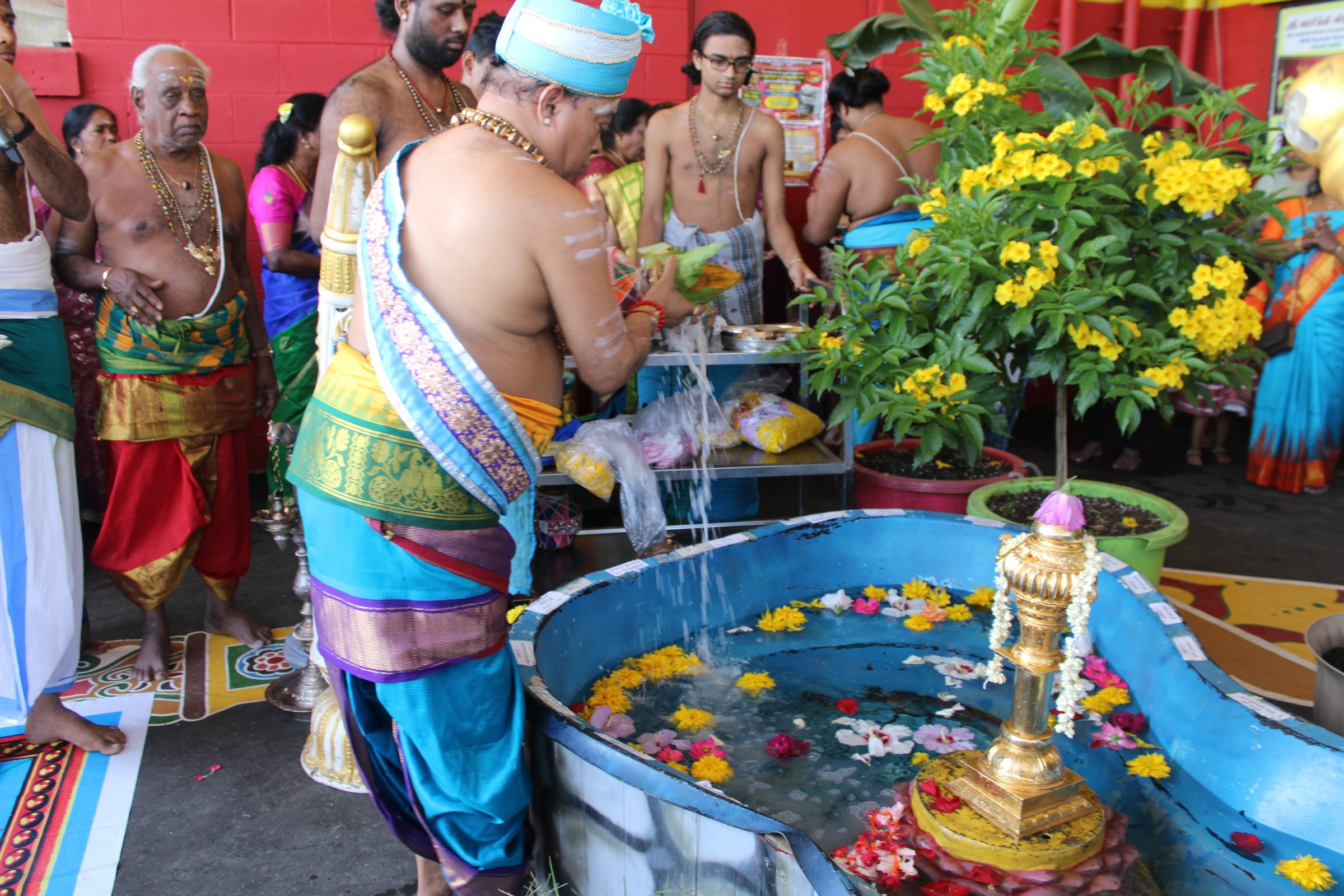 Festival 2024 photo