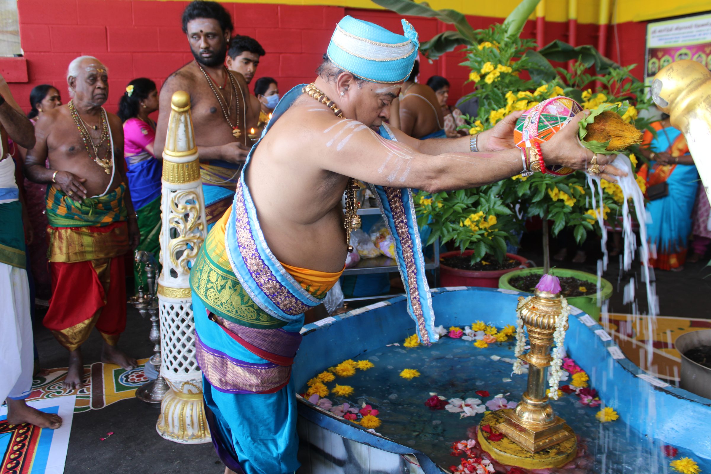Festival 2024 photo
