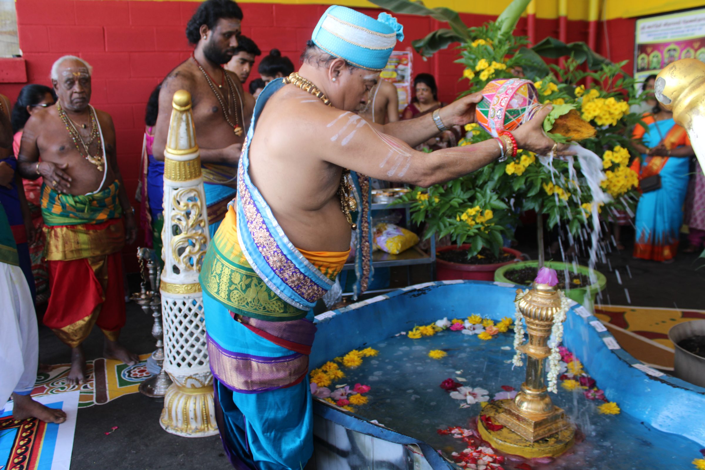 Festival 2024 photo