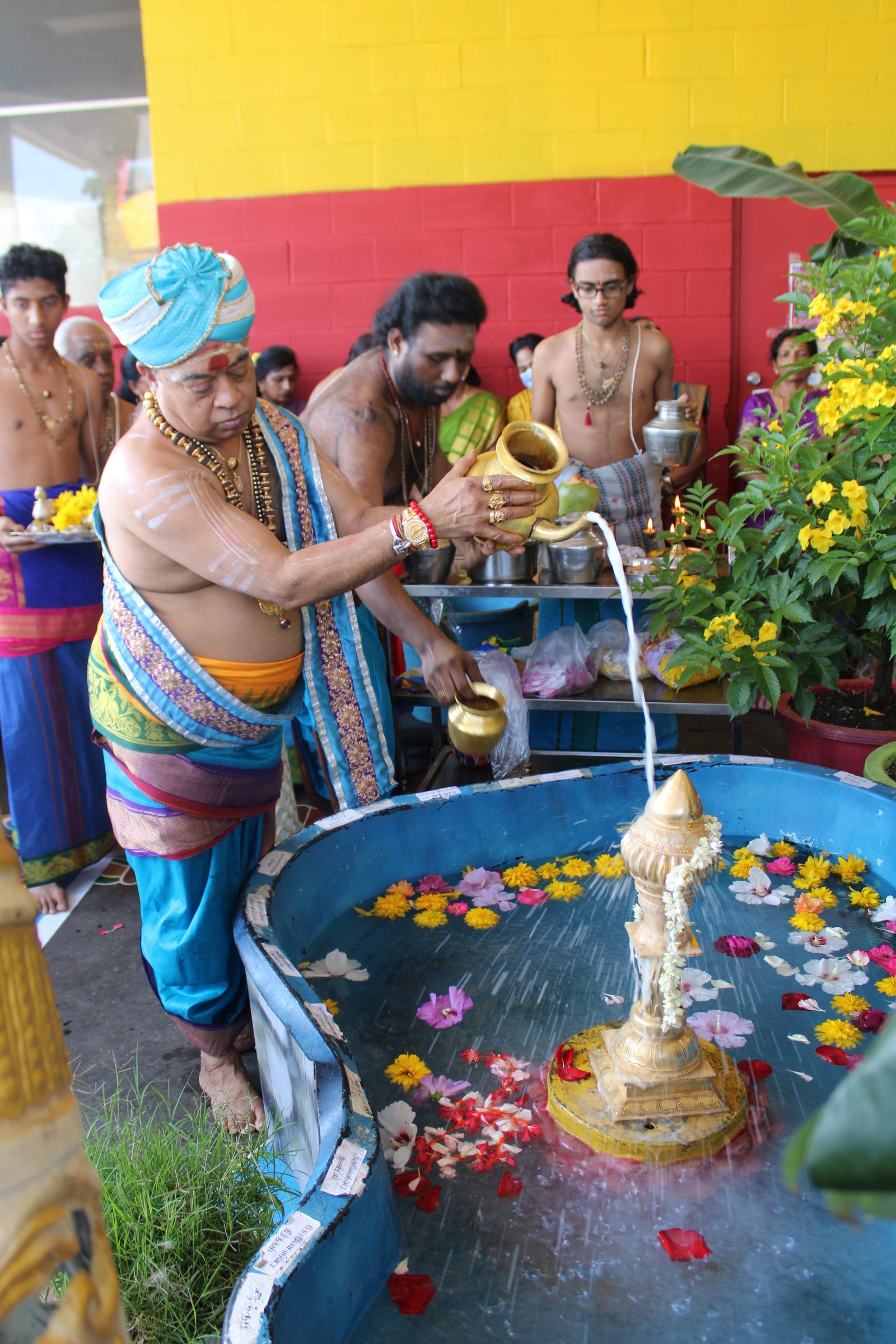 Festival 2024 photo