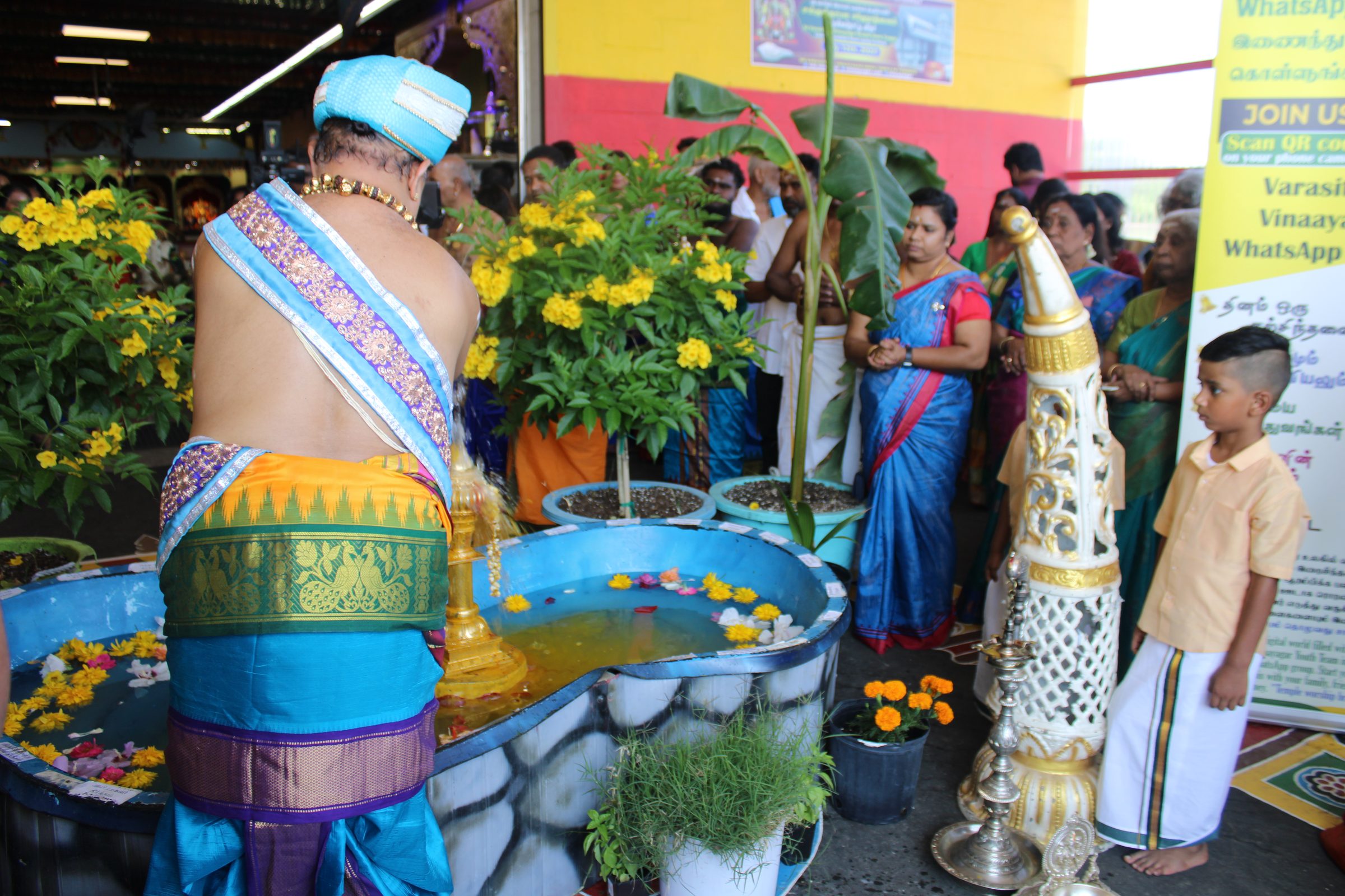 Festival 2024 photo