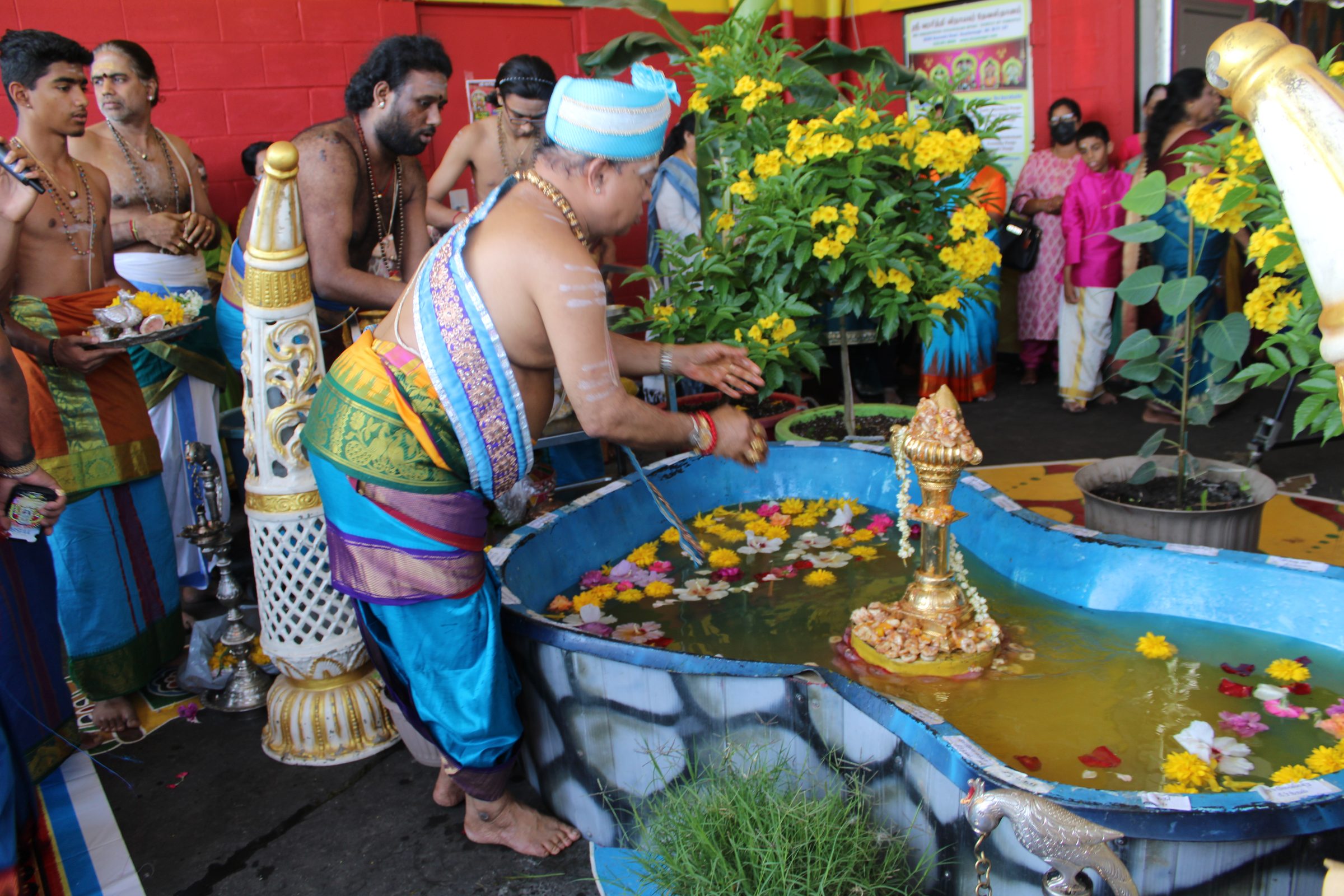 Festival 2024 photo
