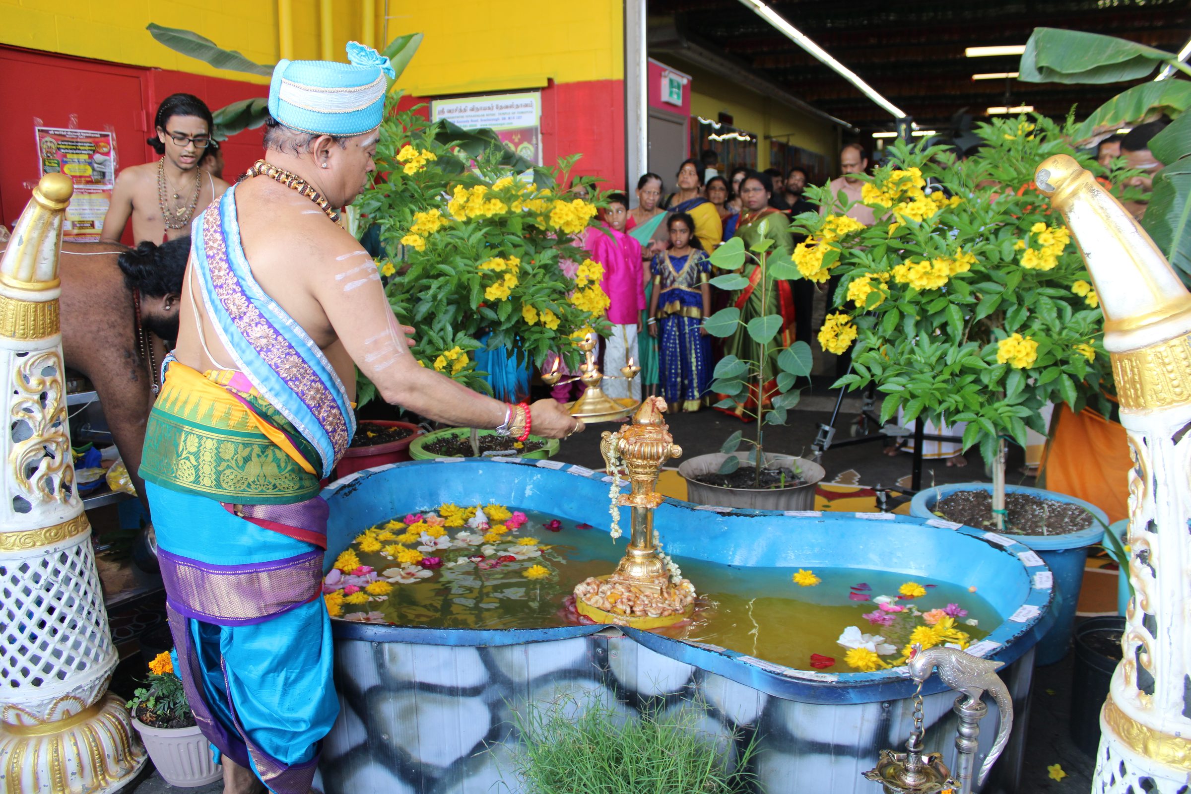Festival 2024 photo